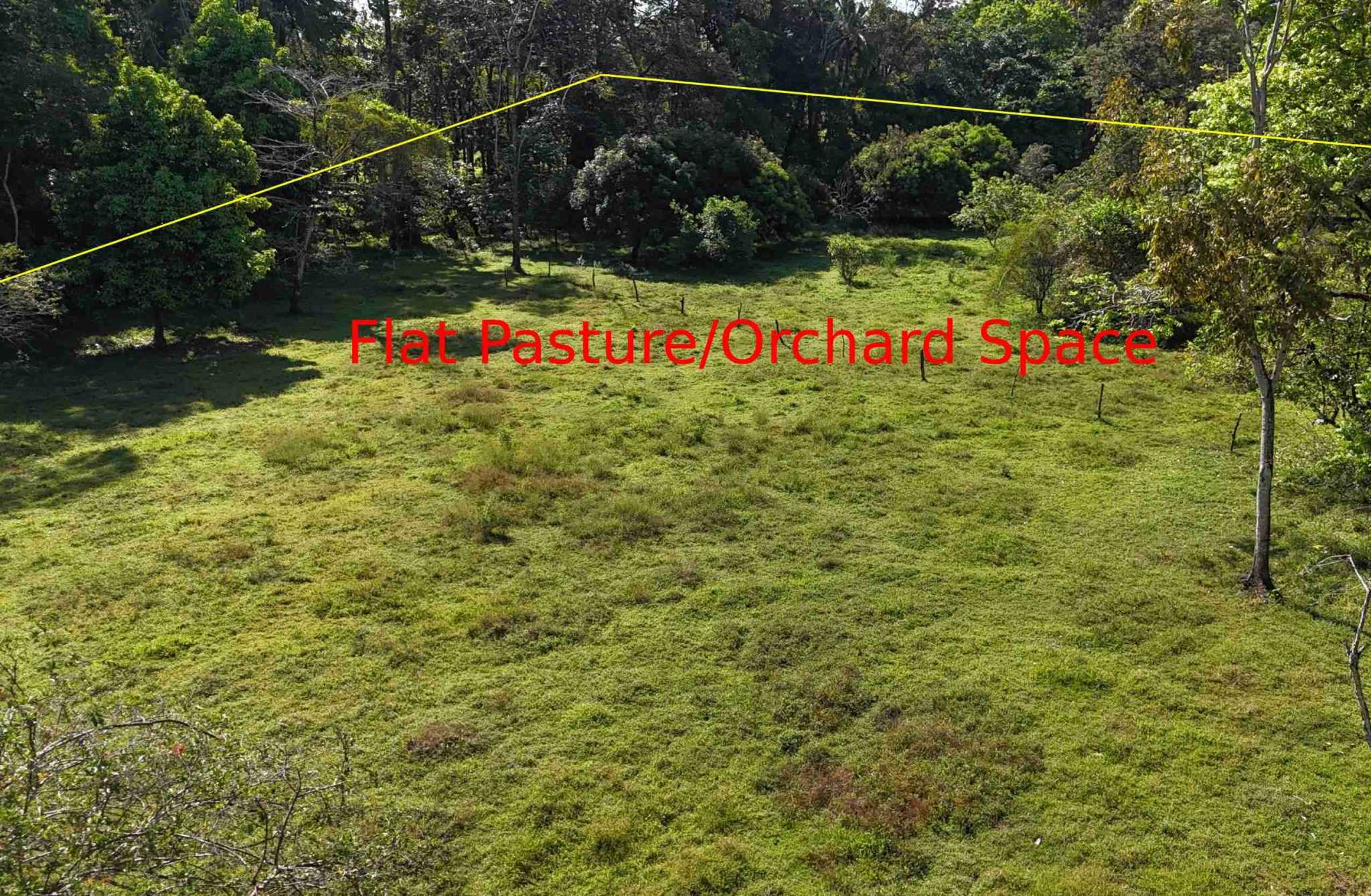 Coronado-fruitfarm- (48) Fruit Farm for sale in Ojochal Costa Rica