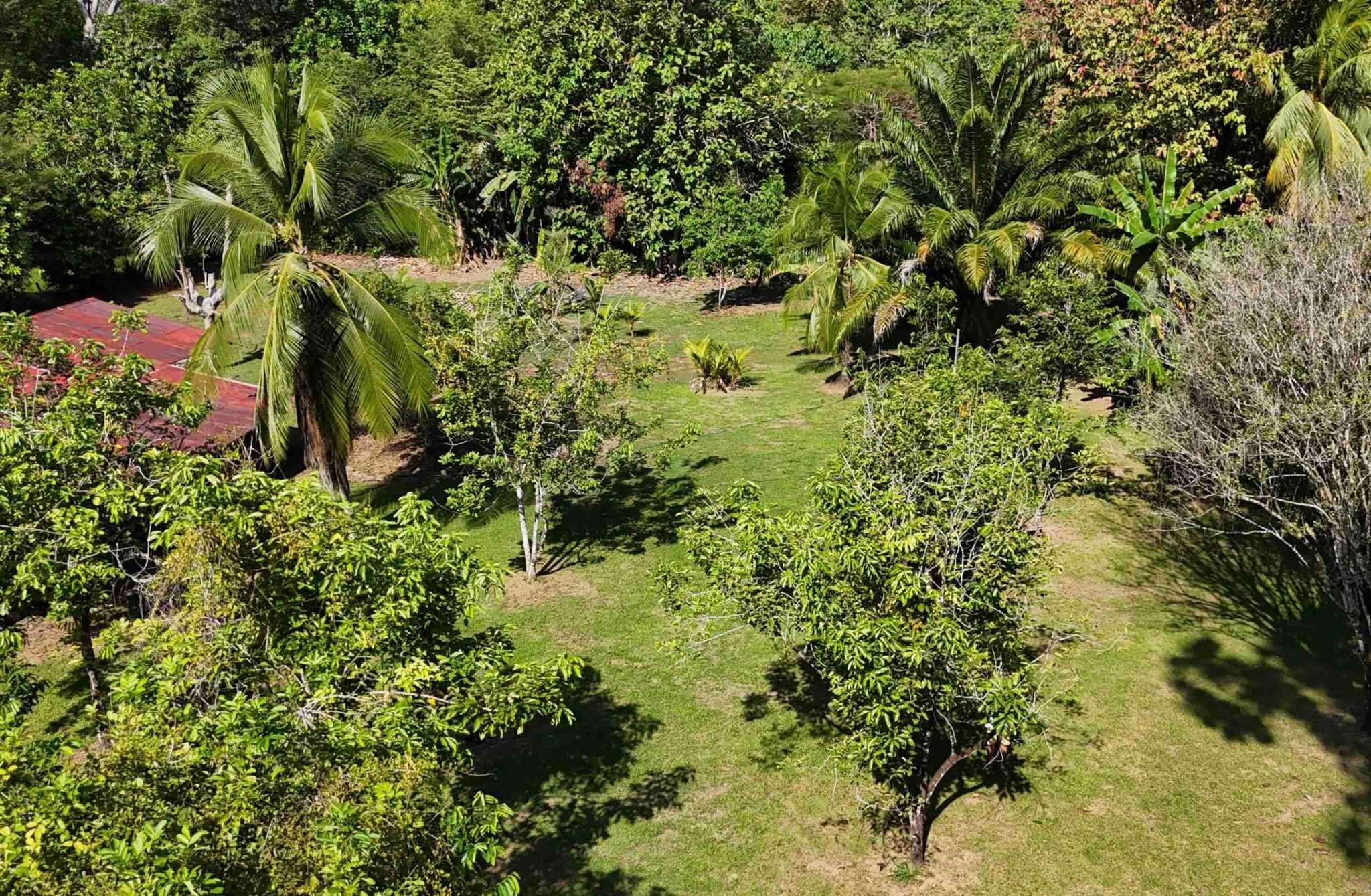Coronado-fruitfarm- (49) Fruit Farm for sale in Ojochal Costa Rica