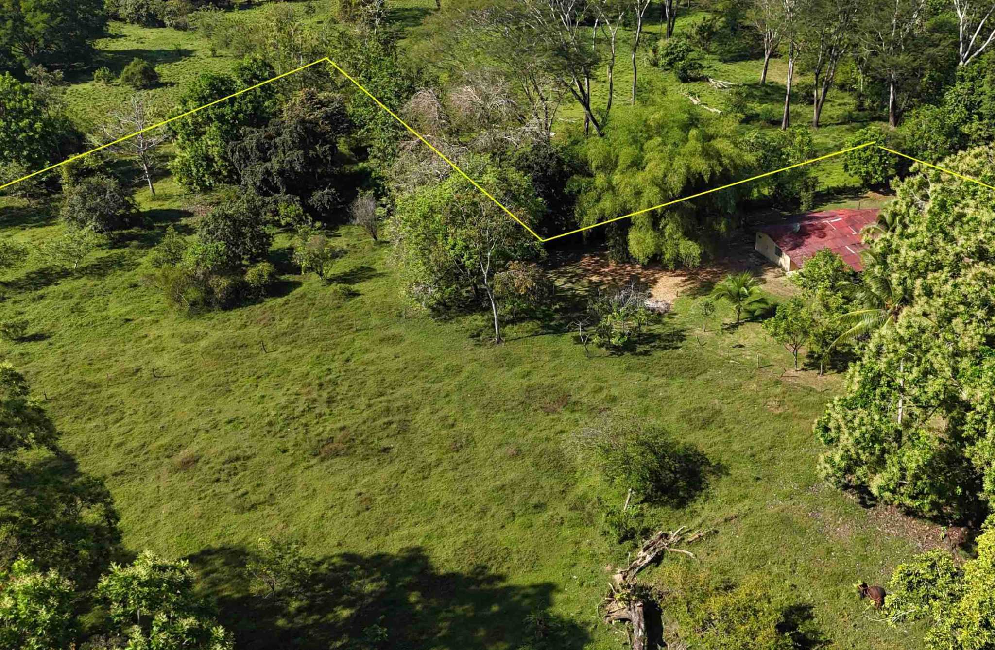 Coronado-fruitfarm- (50) Fruit Farm for sale in Ojochal Costa Rica