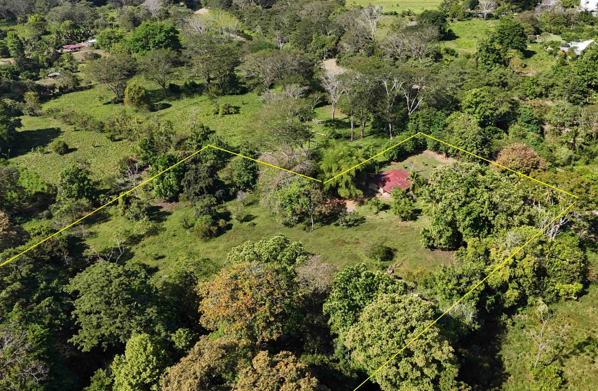 Coronado-fruitfarm- (2) Fruit Farm for sale in Ojochal Costa Rica