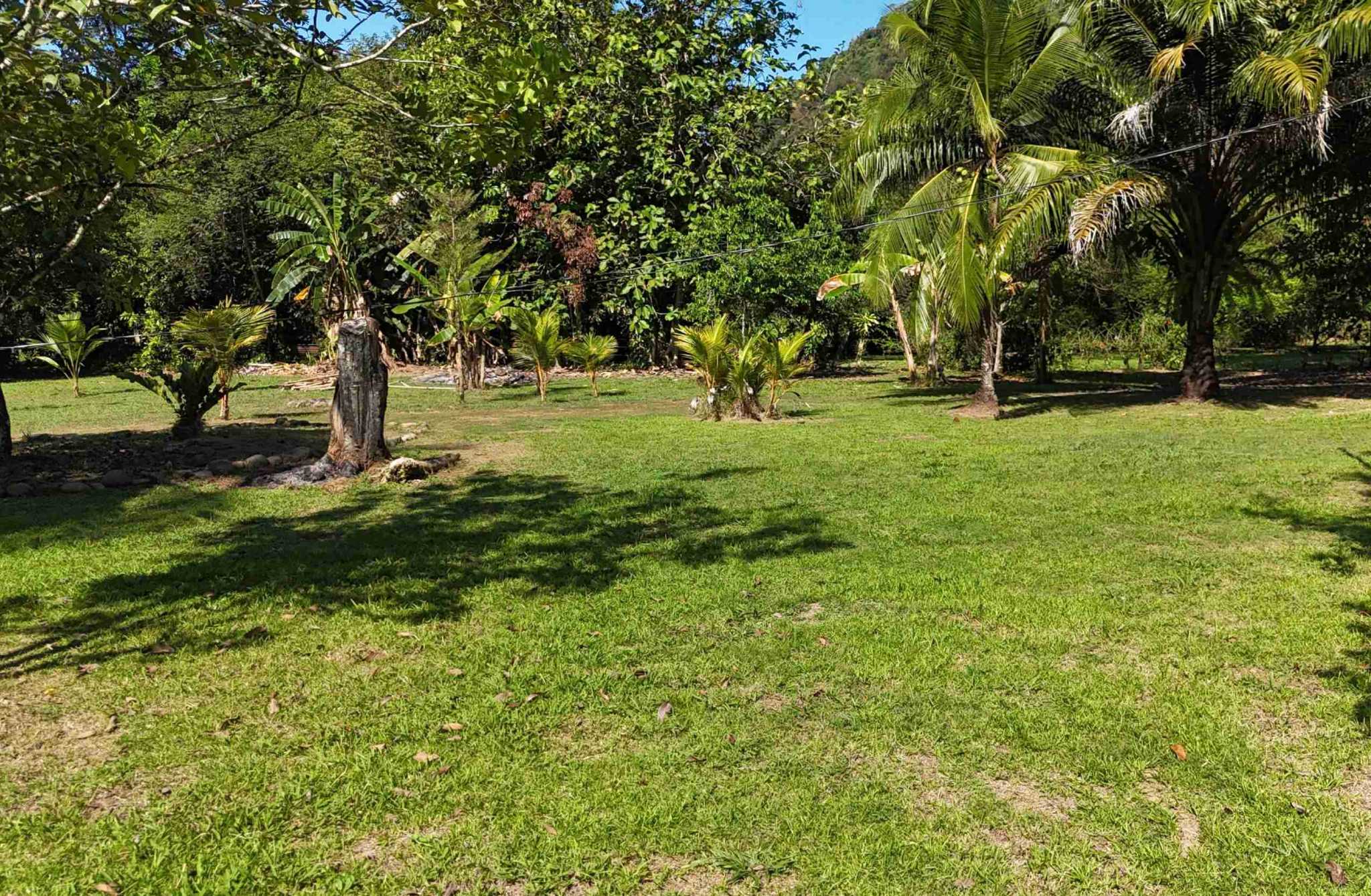 Coronado-fruitfarm- (3) Fruit Farm for sale in Ojochal Costa Rica