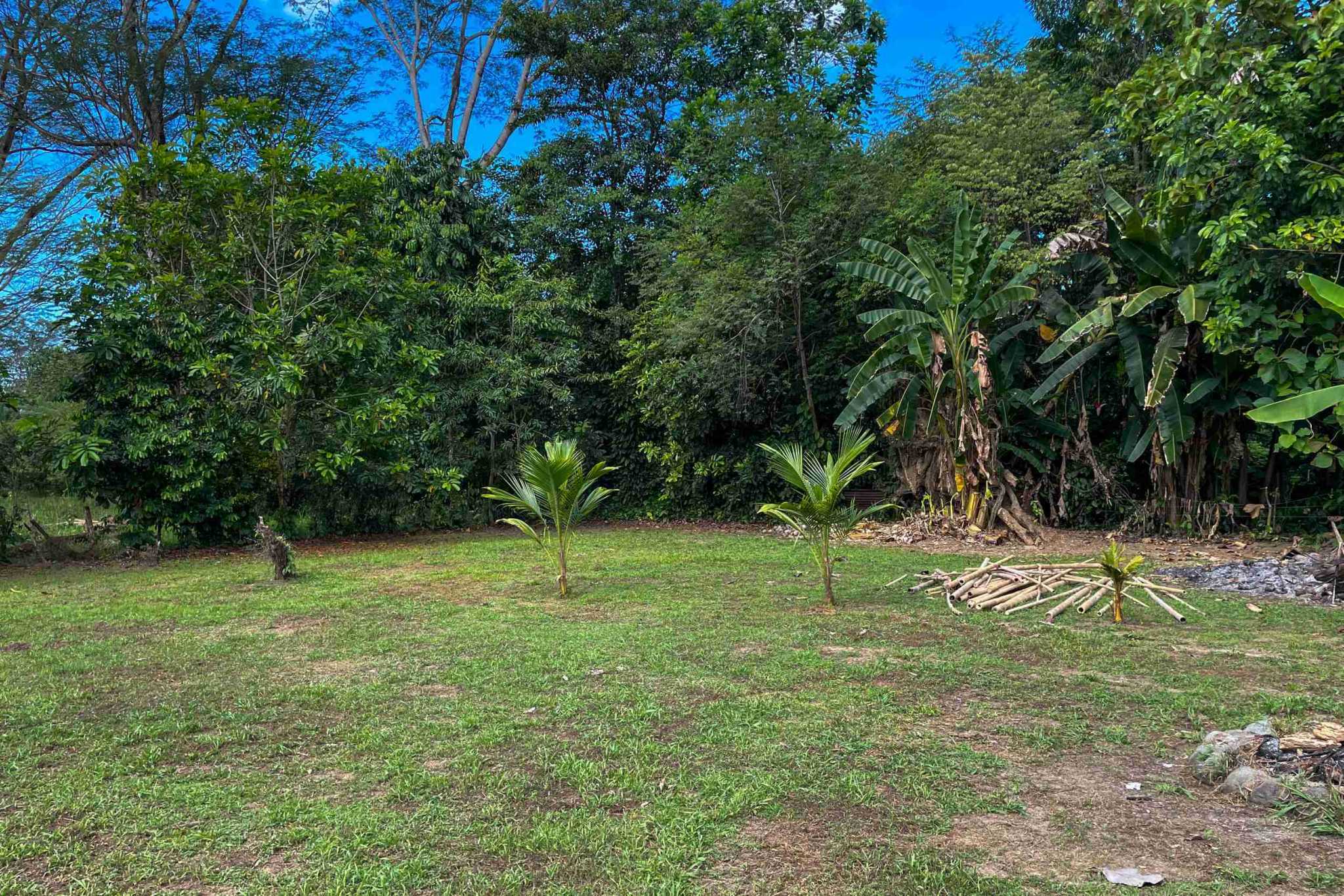 Coronado-fruitfarm- (4) Fruit Farm for sale in Ojochal Costa Rica