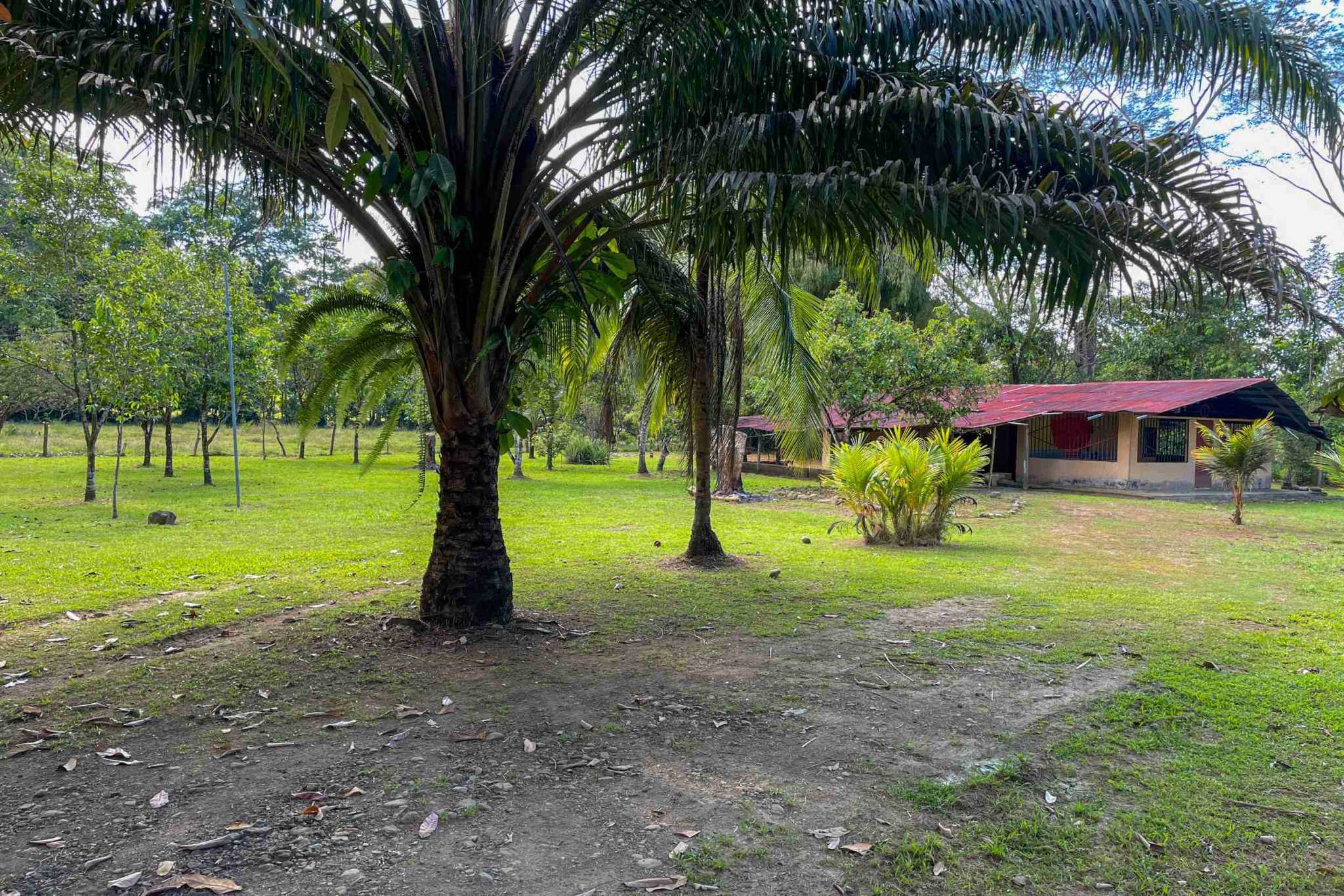 Coronado-fruitfarm- (19) Fruit Farm for sale in Ojochal Costa Rica