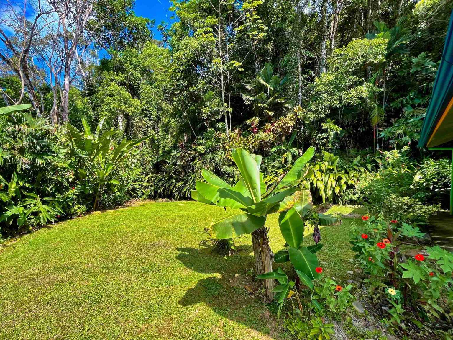 Colorful Jungle 2-Bedroom Ocean View Home with Privacy, Room to Build More in Lagunas near Dominical Costa Rica