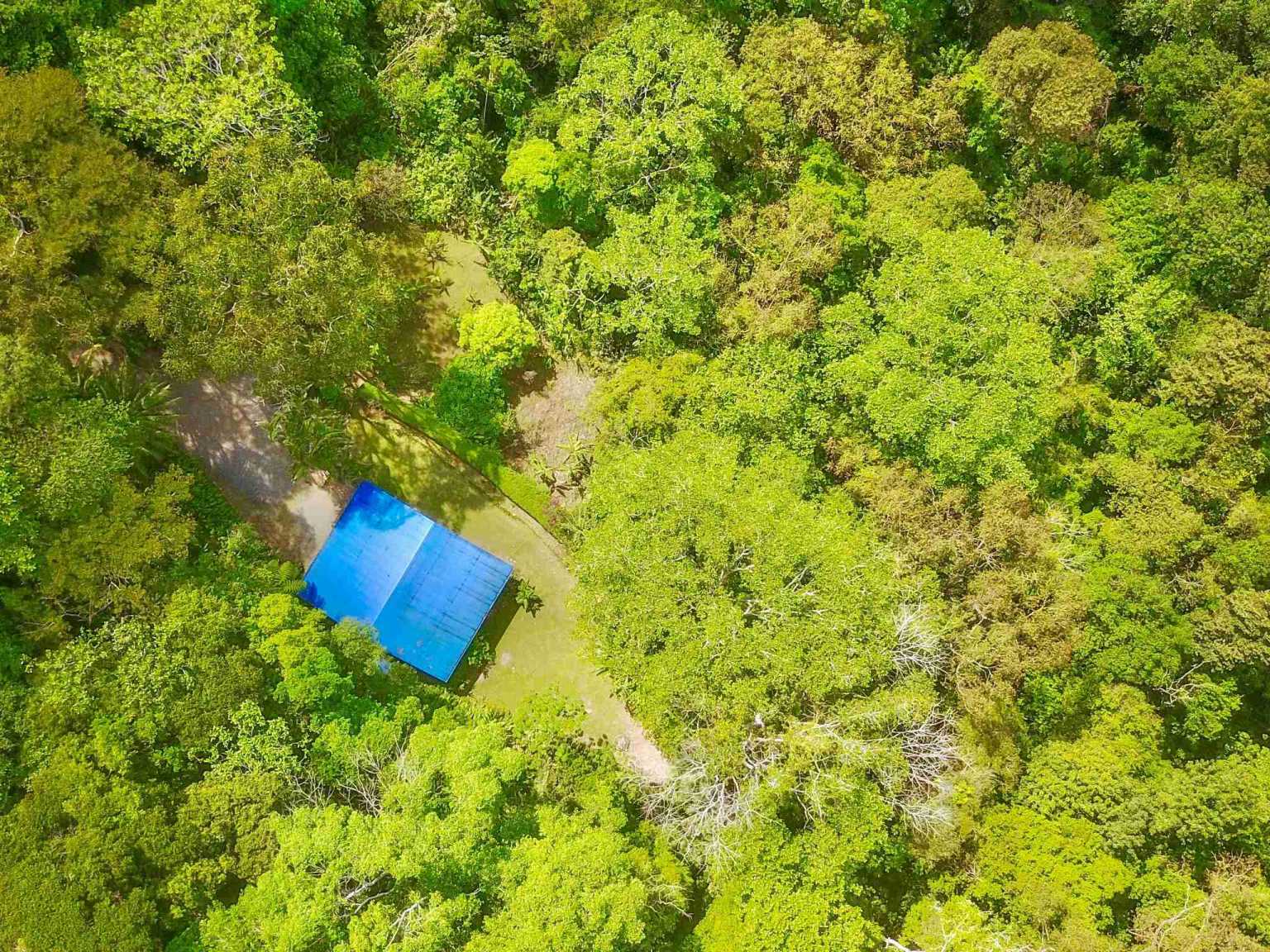 Colorful Jungle 2-Bedroom Ocean View Home with Privacy, Room to Build More in Lagunas near Dominical Costa Rica