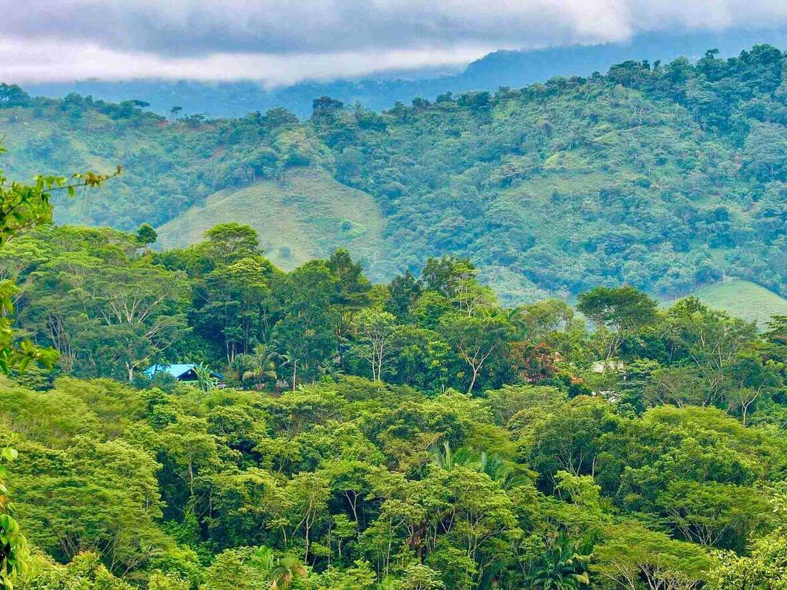 Colorful Jungle 2-Bedroom Ocean View Home with Privacy, Room to Build More in Lagunas near Dominical Costa Rica