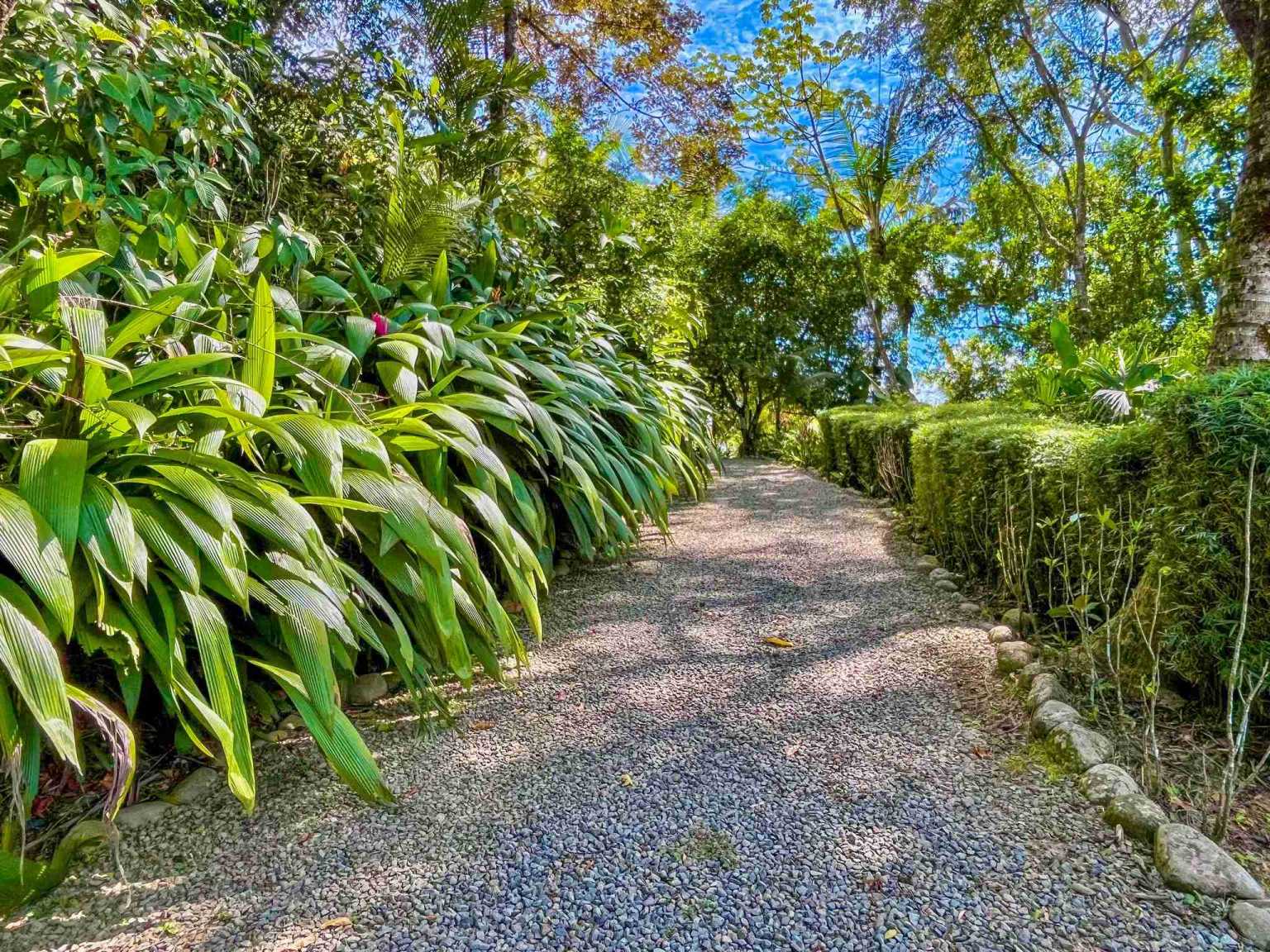 Colorful Jungle 2-Bedroom Ocean View Home with Privacy, Room to Build More in Lagunas near Dominical Costa Rica