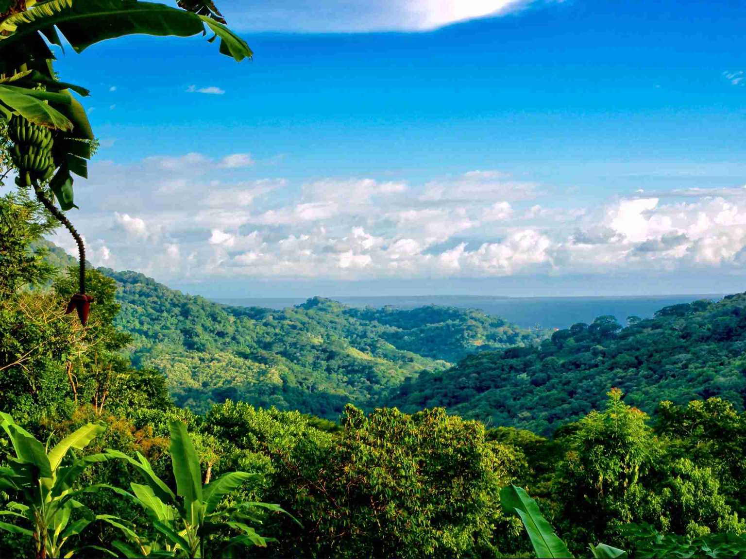 Colorful Jungle 2-Bedroom Ocean View Home with Privacy, Room to Build More in Lagunas near Dominical Costa Rica