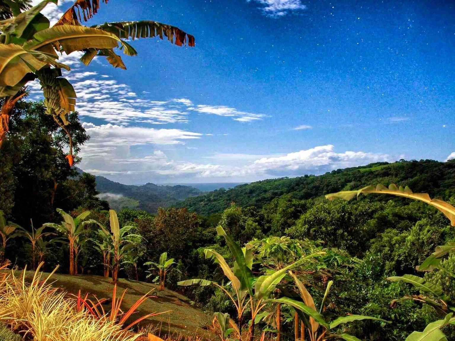 Colorful Jungle 2-Bedroom Ocean View Home with Privacy, Room to Build More in Lagunas near Dominical Costa Rica