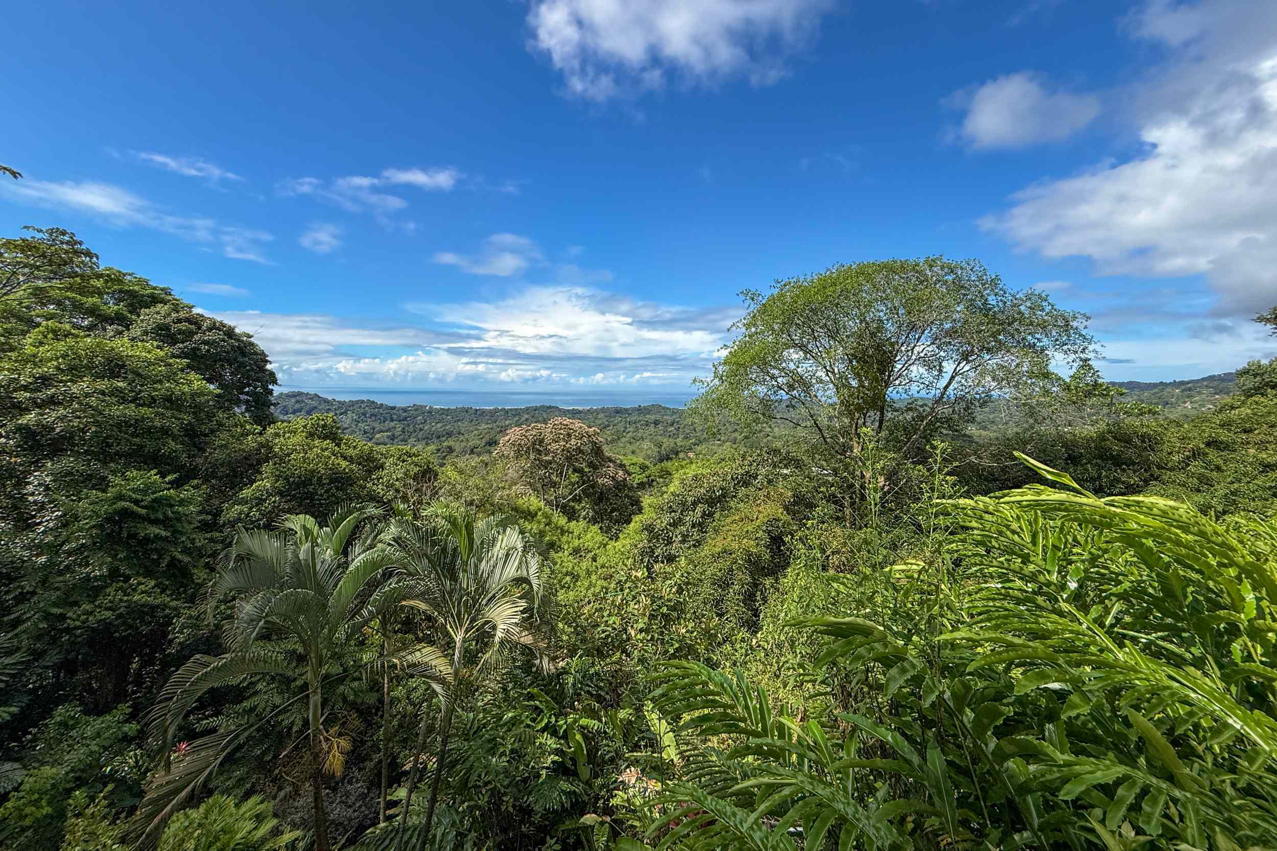 Panoramic Ocean View 4-Bedroom Home with Big Pool & Ample Space to Entertain in Ojochal Costa Rica