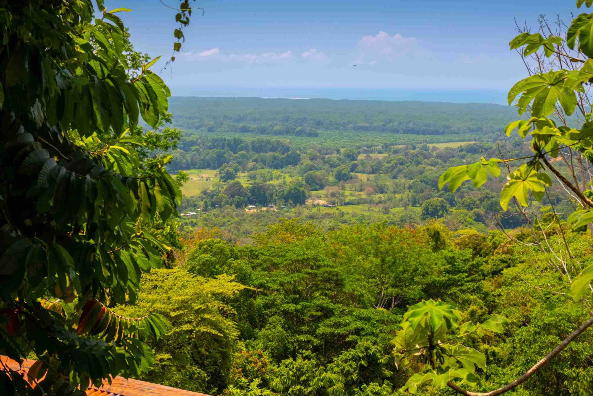 38153-mariposa- (7) Private Ocean View Home with 9+ Acres Including Two Additional Building Sites in San Buenas near Tres Rios Costa Rica