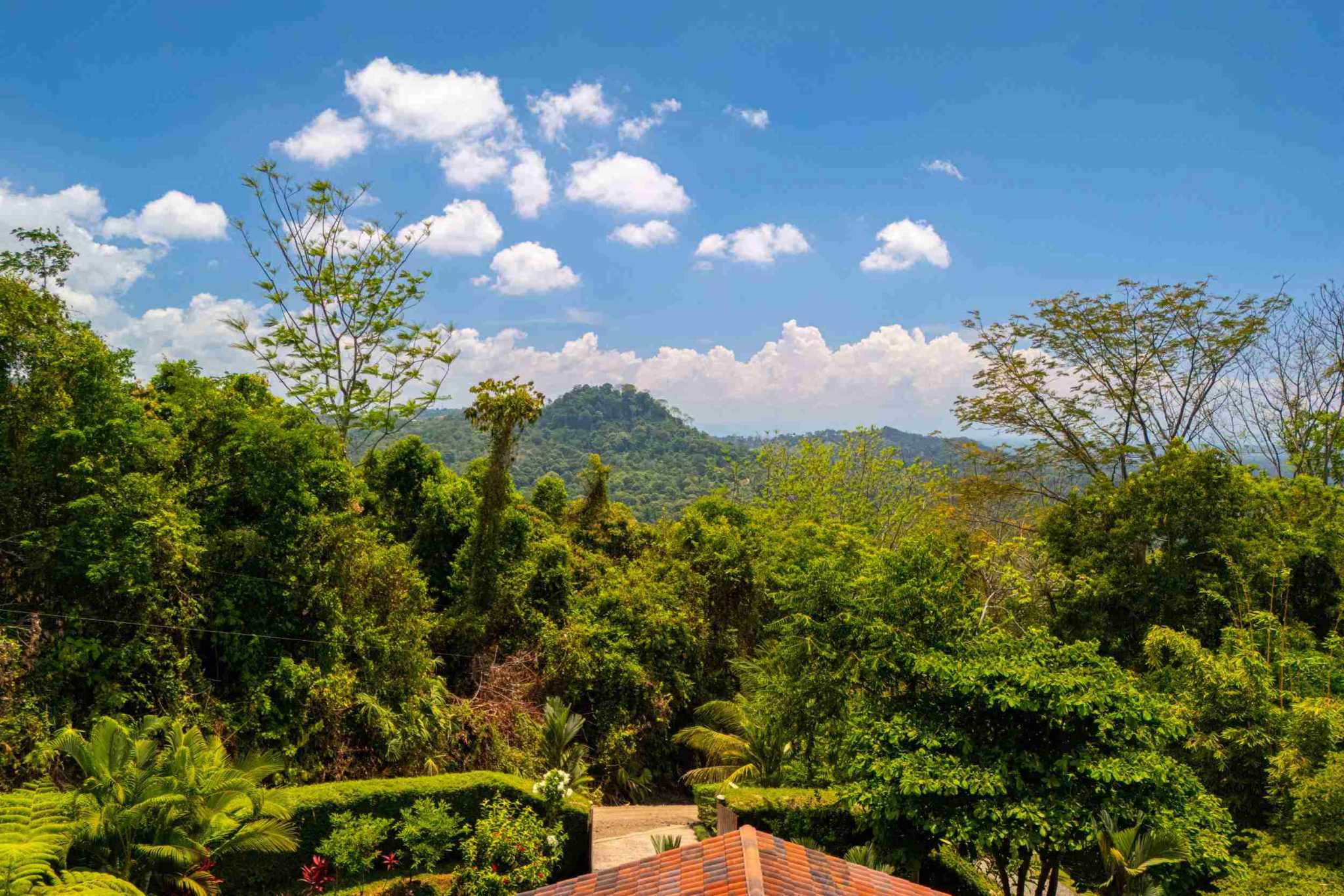 38153-mariposa- (8) Private Ocean View Home with 9+ Acres Including Two Additional Building Sites in San Buenas near Tres Rios Costa Rica