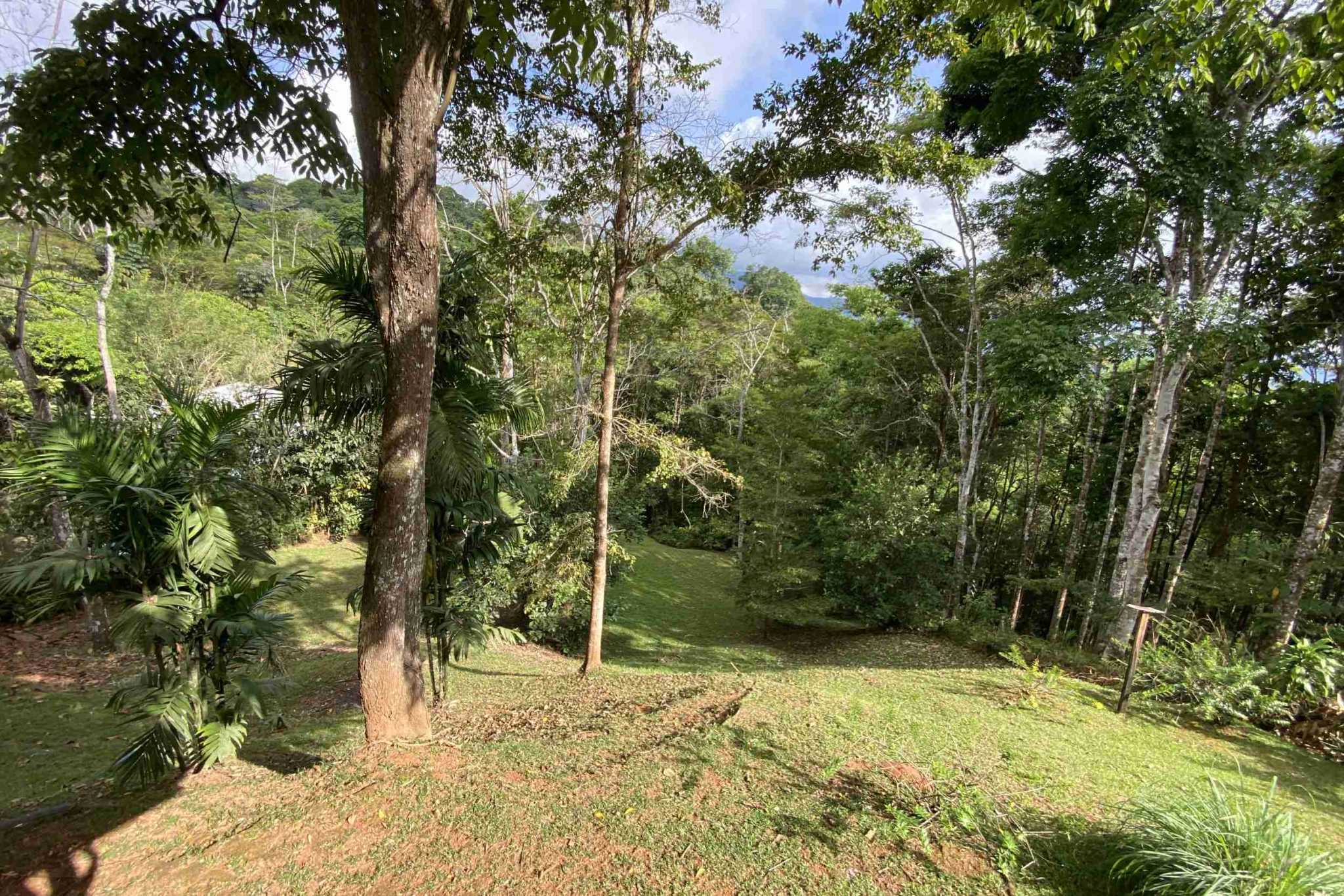 38201-tinamates- (8) Charming 2-Bedroom Oasis Home with Jungle Views & Creek in Tinamastes Costa Rica