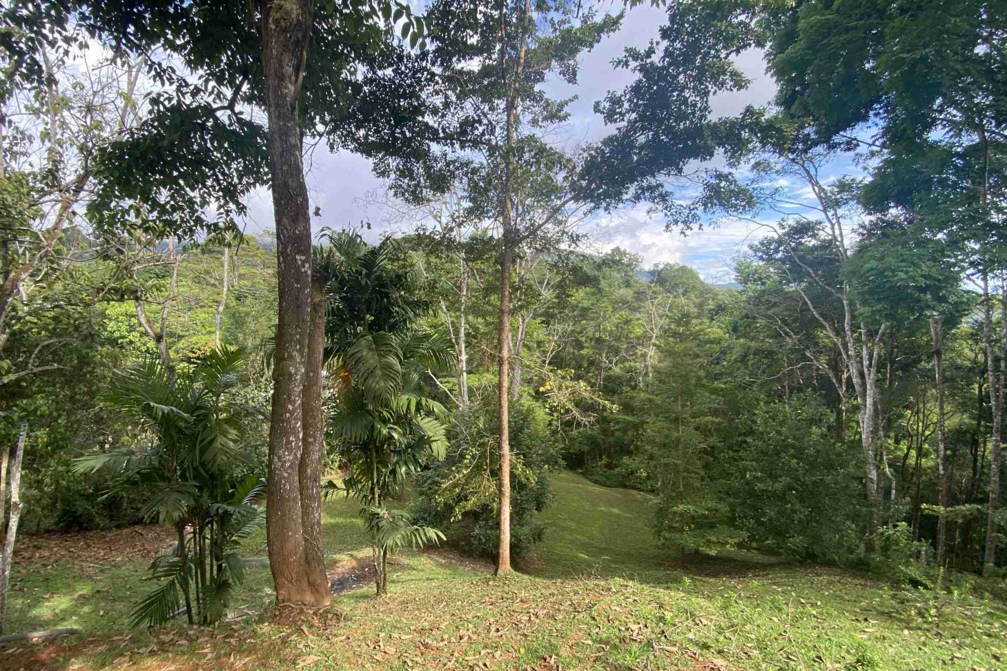 38201-tinamates- (20) Charming 2-Bedroom Oasis Home with Jungle Views & Creek in Tinamastes Costa Rica