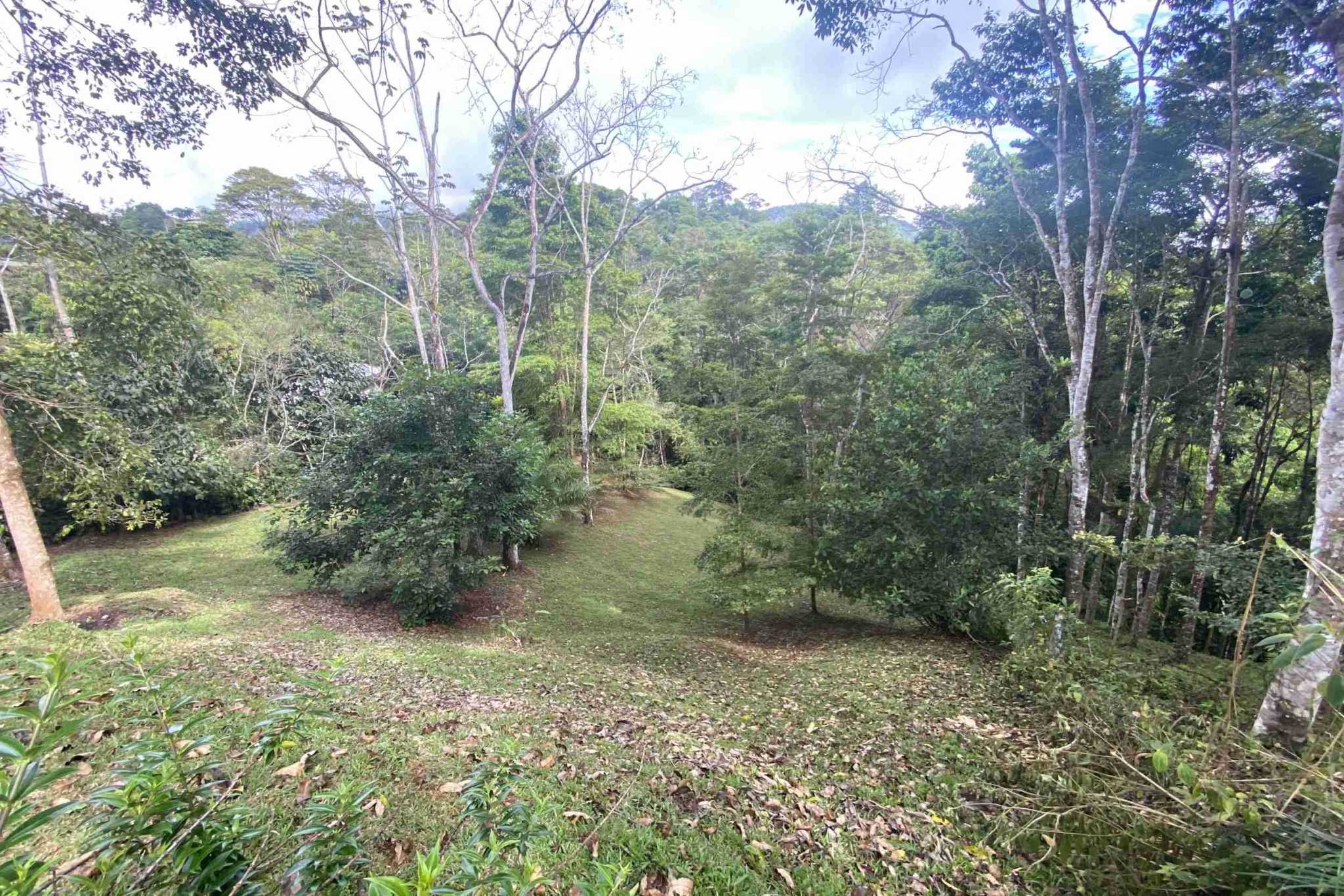 38201-tinamates- (21) Charming 2-Bedroom Oasis Home with Jungle Views & Creek in Tinamastes Costa Rica