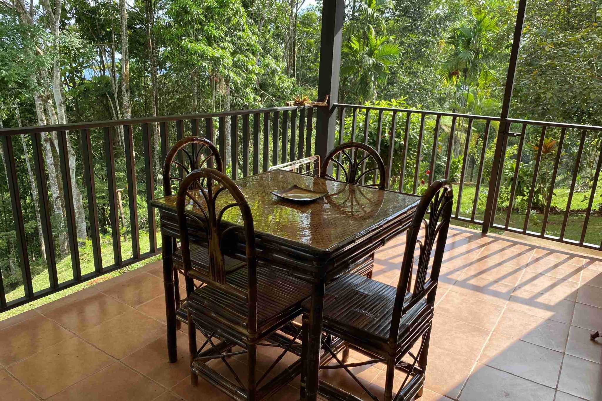 38201-tinamates- (31) Charming 2-Bedroom Oasis Home with Jungle Views & Creek in Tinamastes Costa Rica