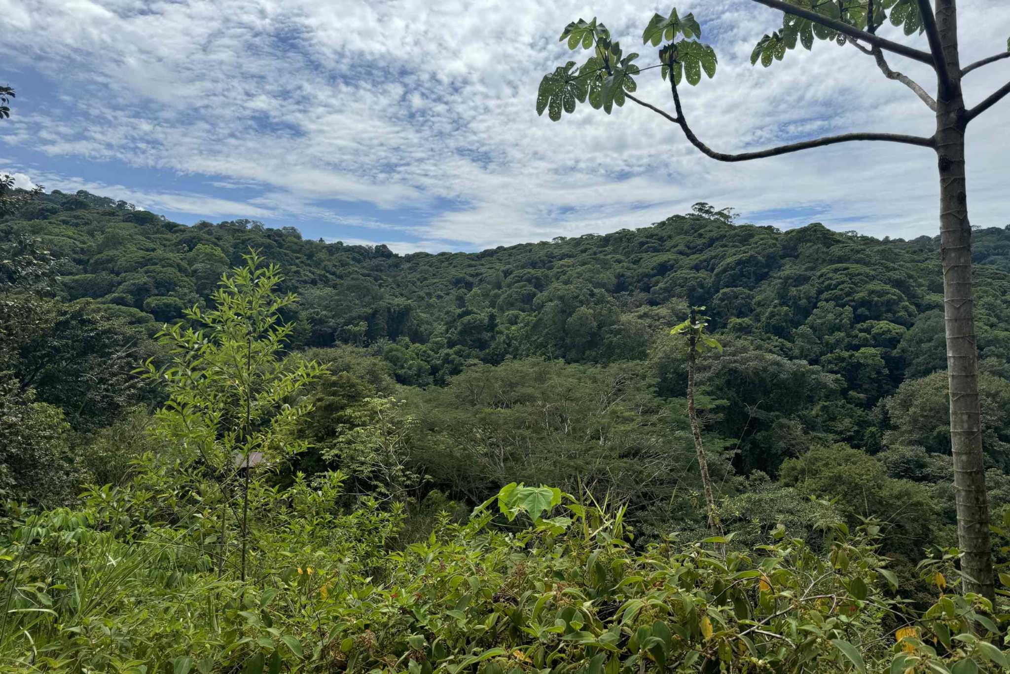 38766-hatillo (1) Home with 3-Bedrooms, Beautiful Views, Several More Building Sites, & Perfect For Small Farm in Hatillo near Dominical Costa Rica