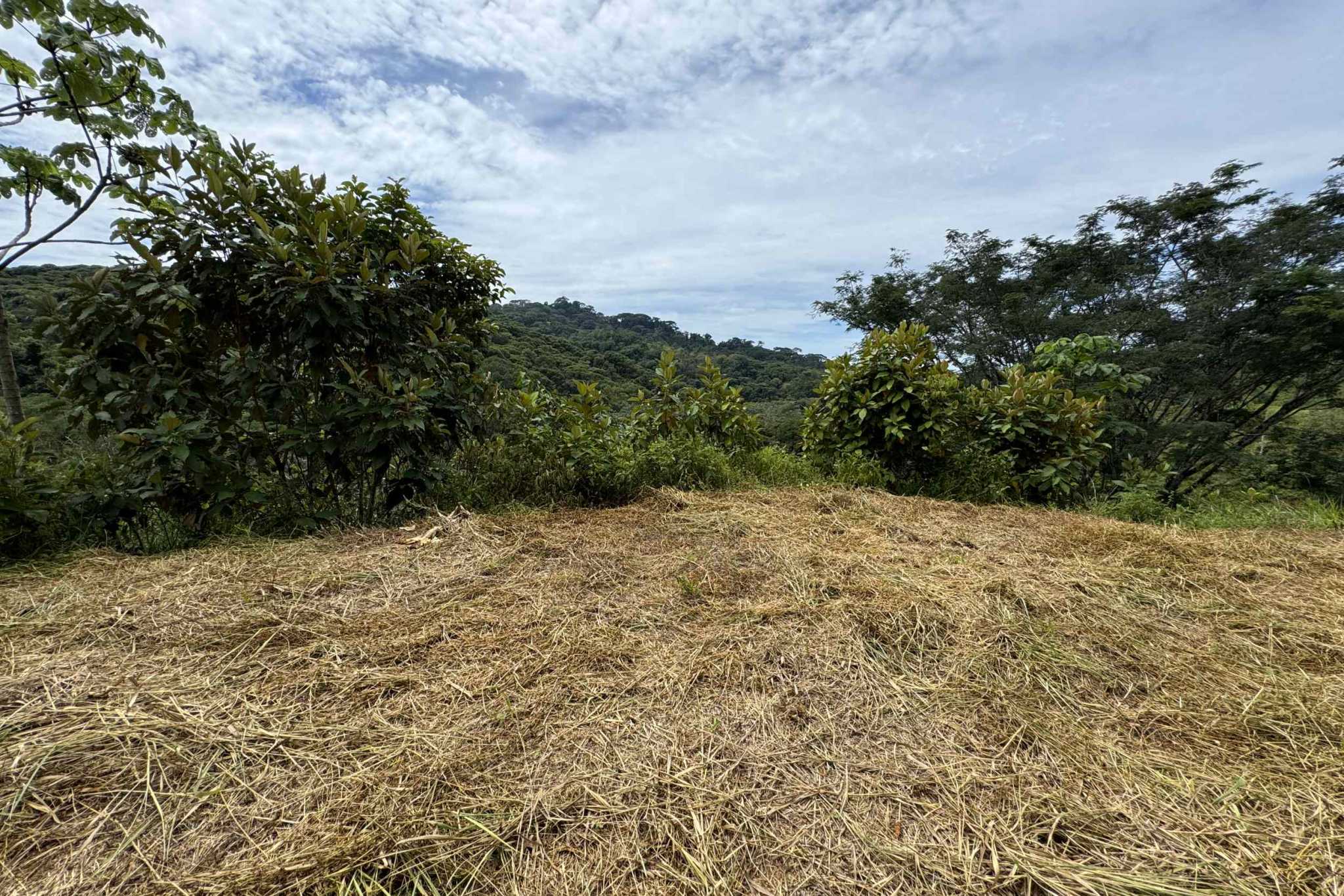 38766-hatillo (2) Home with 3-Bedrooms, Beautiful Views, Several More Building Sites, & Perfect For Small Farm in Hatillo near Dominical Costa Rica