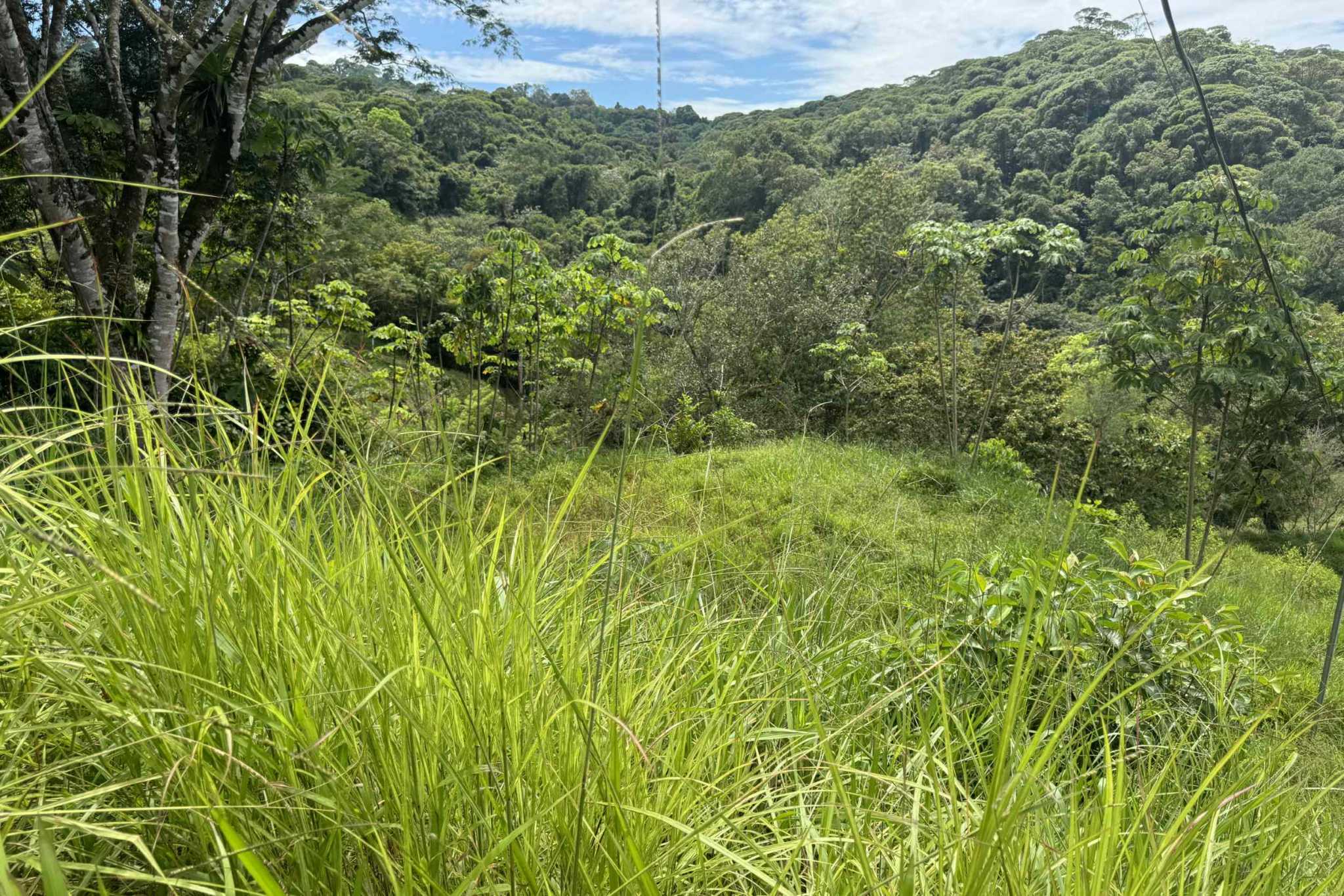 38766-hatillo (3) Home with 3-Bedrooms, Beautiful Views, Several More Building Sites, & Perfect For Small Farm in Hatillo near Dominical Costa Rica