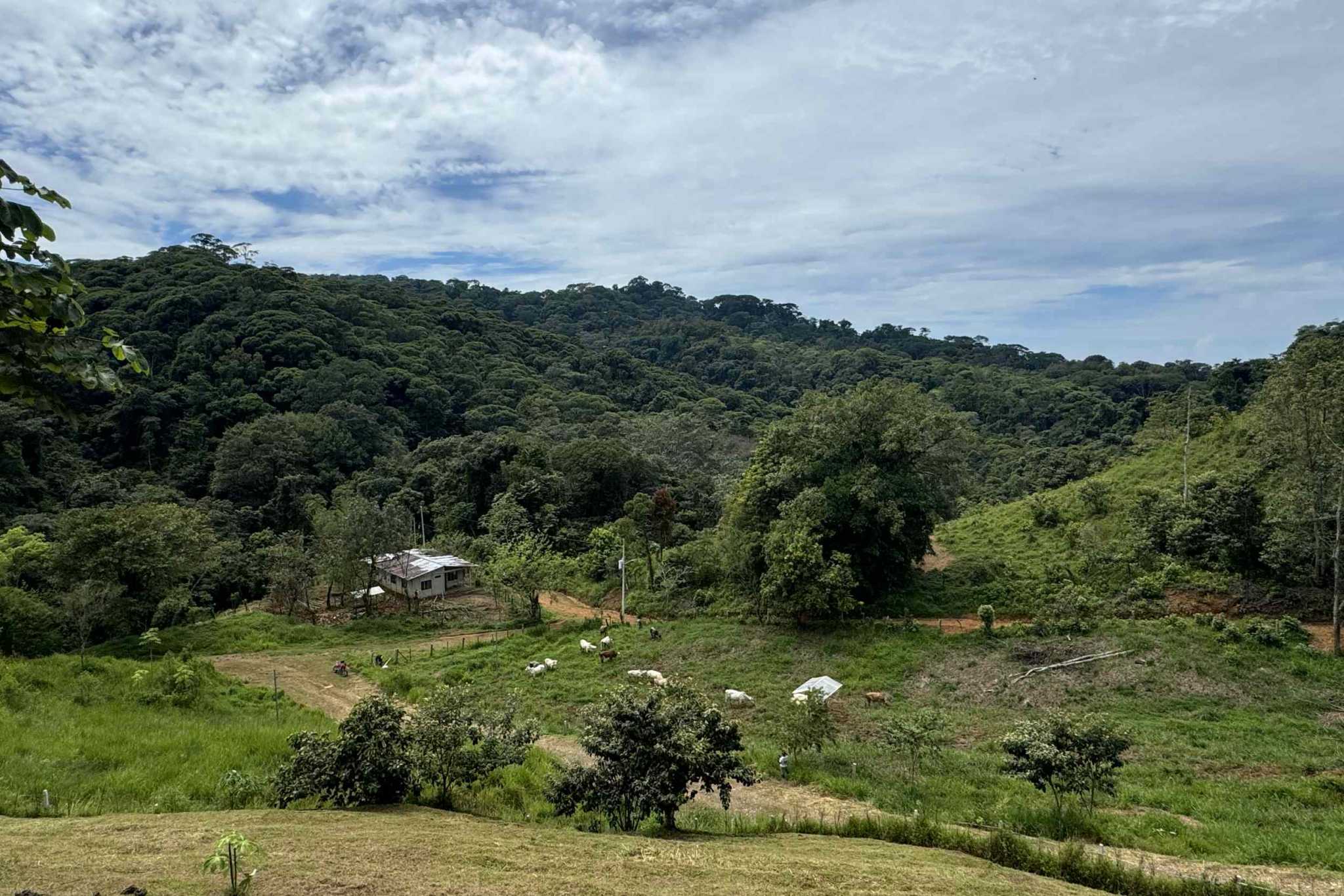38766-hatillo (32) Home with 3-Bedrooms, Beautiful Views, Several More Building Sites, & Perfect For Small Farm in Hatillo near Dominical Costa Rica