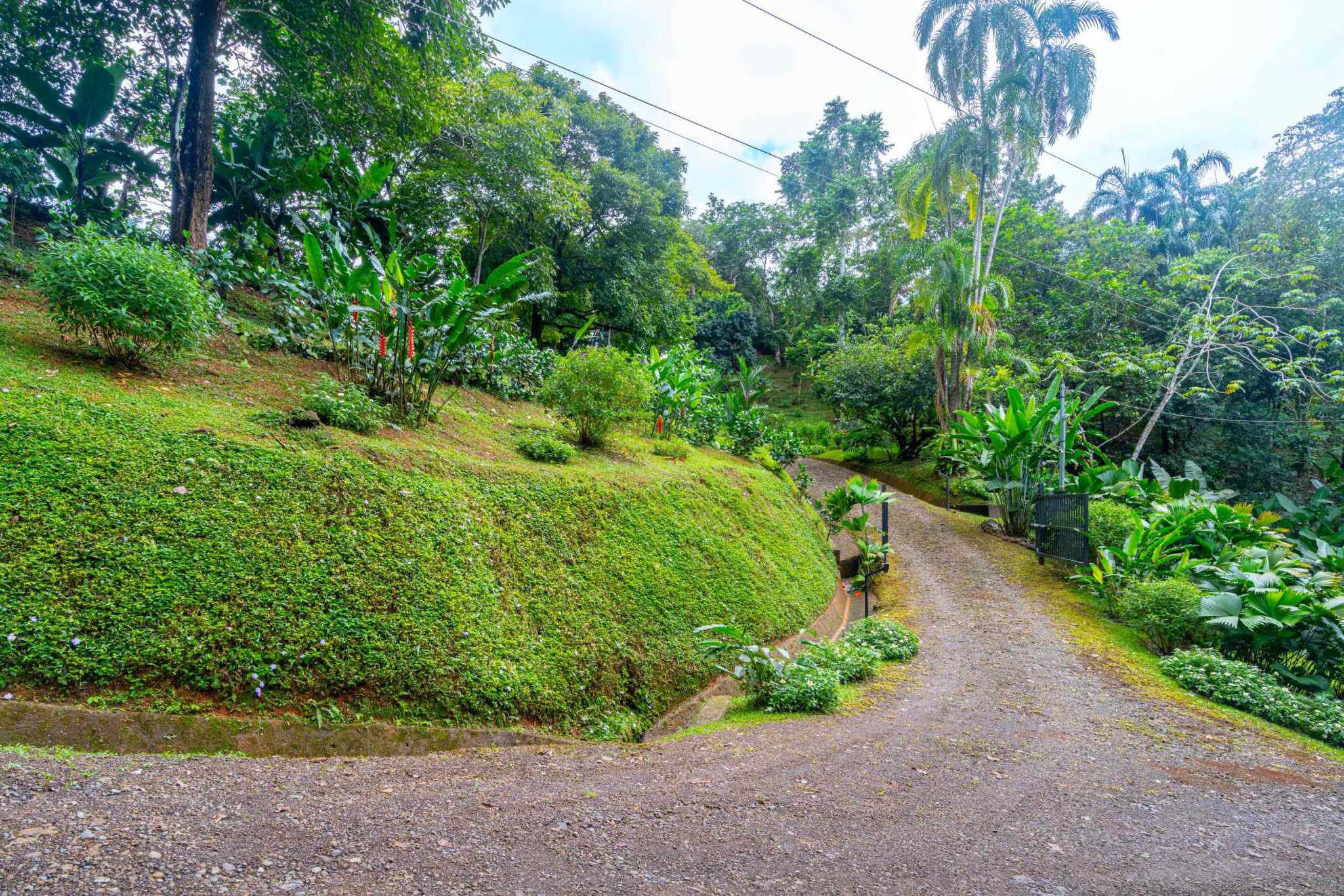 39058-tresrios (54) Jaw Dropping Ocean Views with 2-Bedroom Home & Room to Build More in Tres Rios Costa Rica