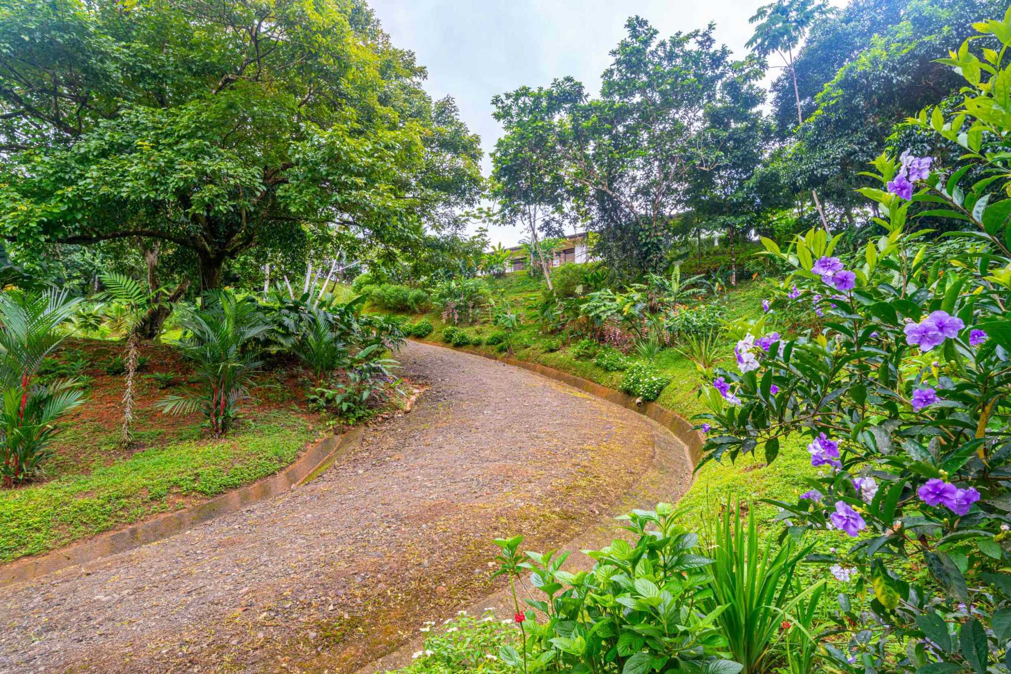 39058-tresrios (1) Jaw Dropping Ocean Views with 2-Bedroom Home & Room to Build More in Tres Rios Costa Rica