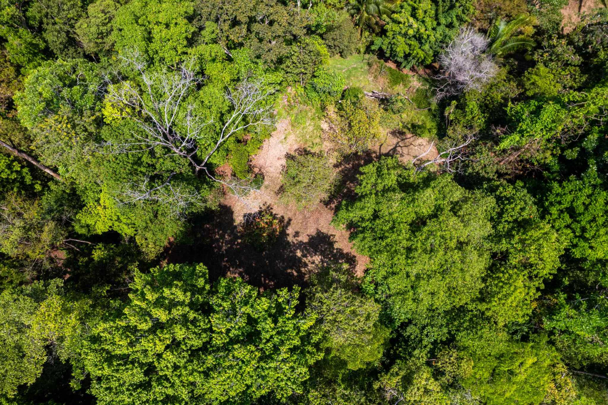 39540 (11) Ultra-Luxury Coastal 5-Bedroom, 10 Acre Estate with Iconic Whale’s Tail Views & Room to Build More in Uvita Costa Rica