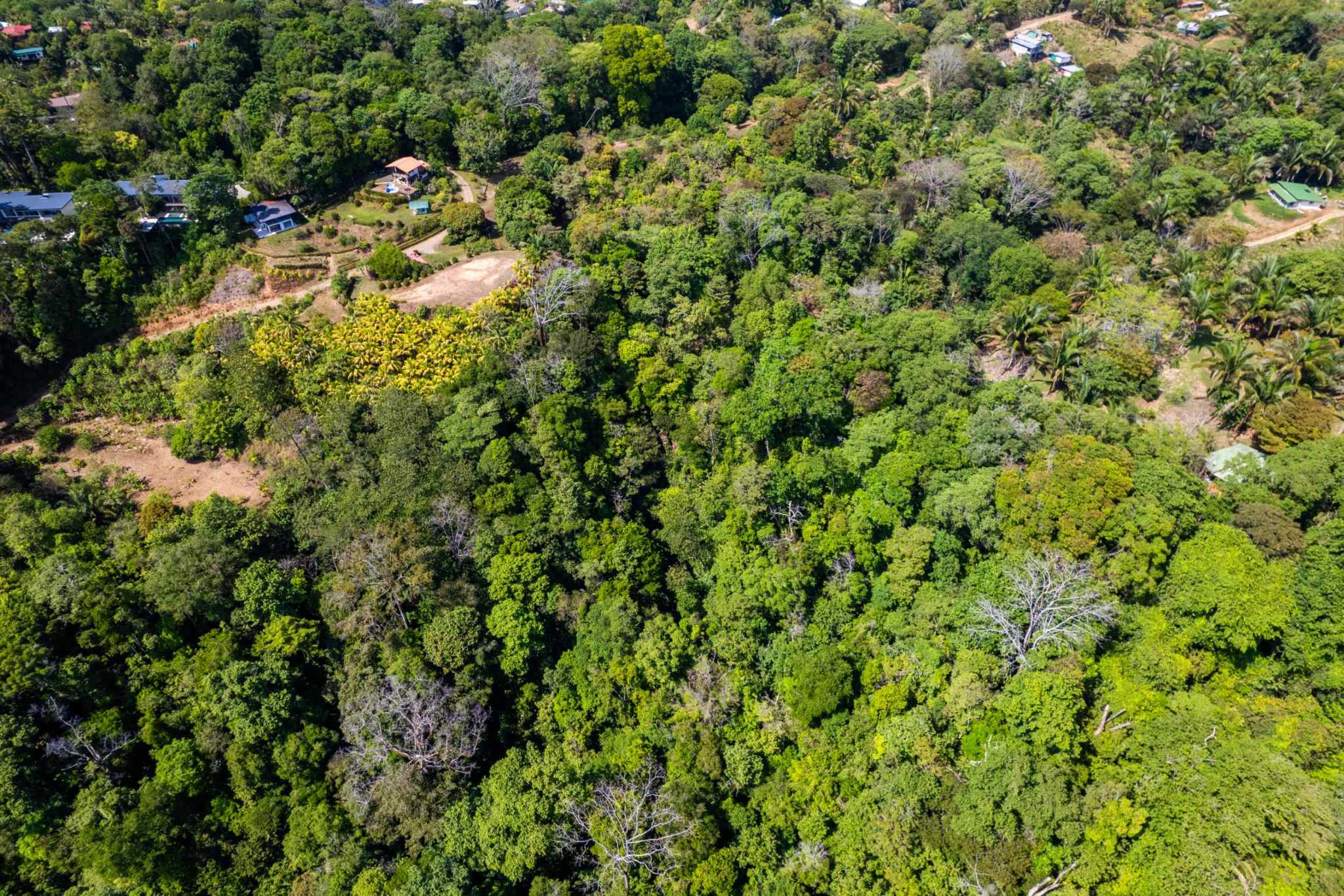 39540 (19) Ultra-Luxury Coastal 5-Bedroom, 10 Acre Estate with Iconic Whale’s Tail Views & Room to Build More in Uvita Costa Rica