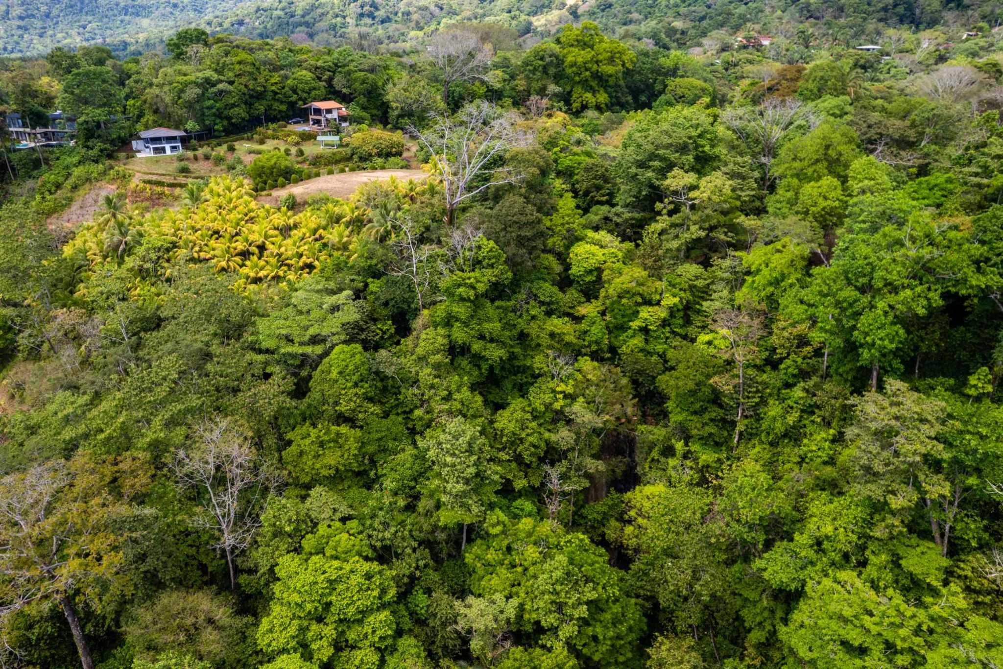 39540 (27) Ultra-Luxury Coastal 5-Bedroom, 10 Acre Estate with Iconic Whale’s Tail Views & Room to Build More in Uvita Costa Rica