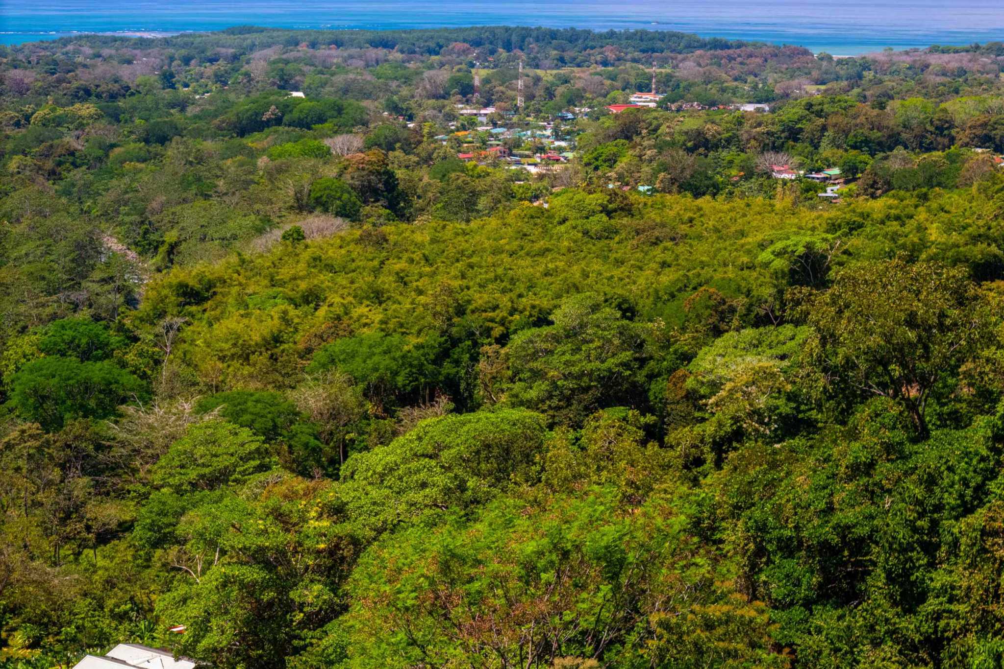 39945 (13) Private Jungle View 3-Bedroom Home with Fruit Trees & Chicken Coop in Uvita Costa Rica