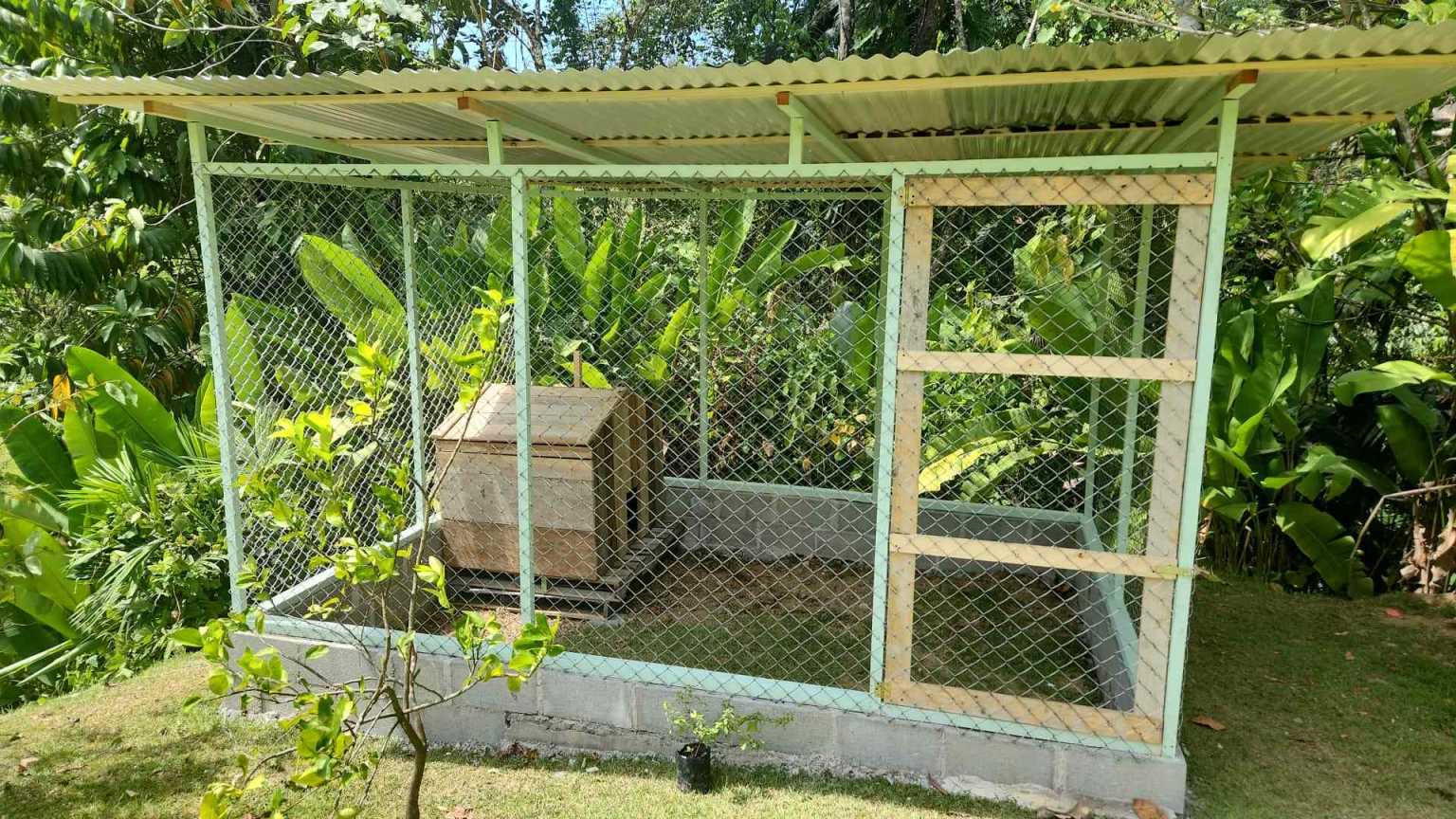 39945 (26) Private Jungle View 3-Bedroom Home with Fruit Trees & Chicken Coop in Uvita Costa Rica