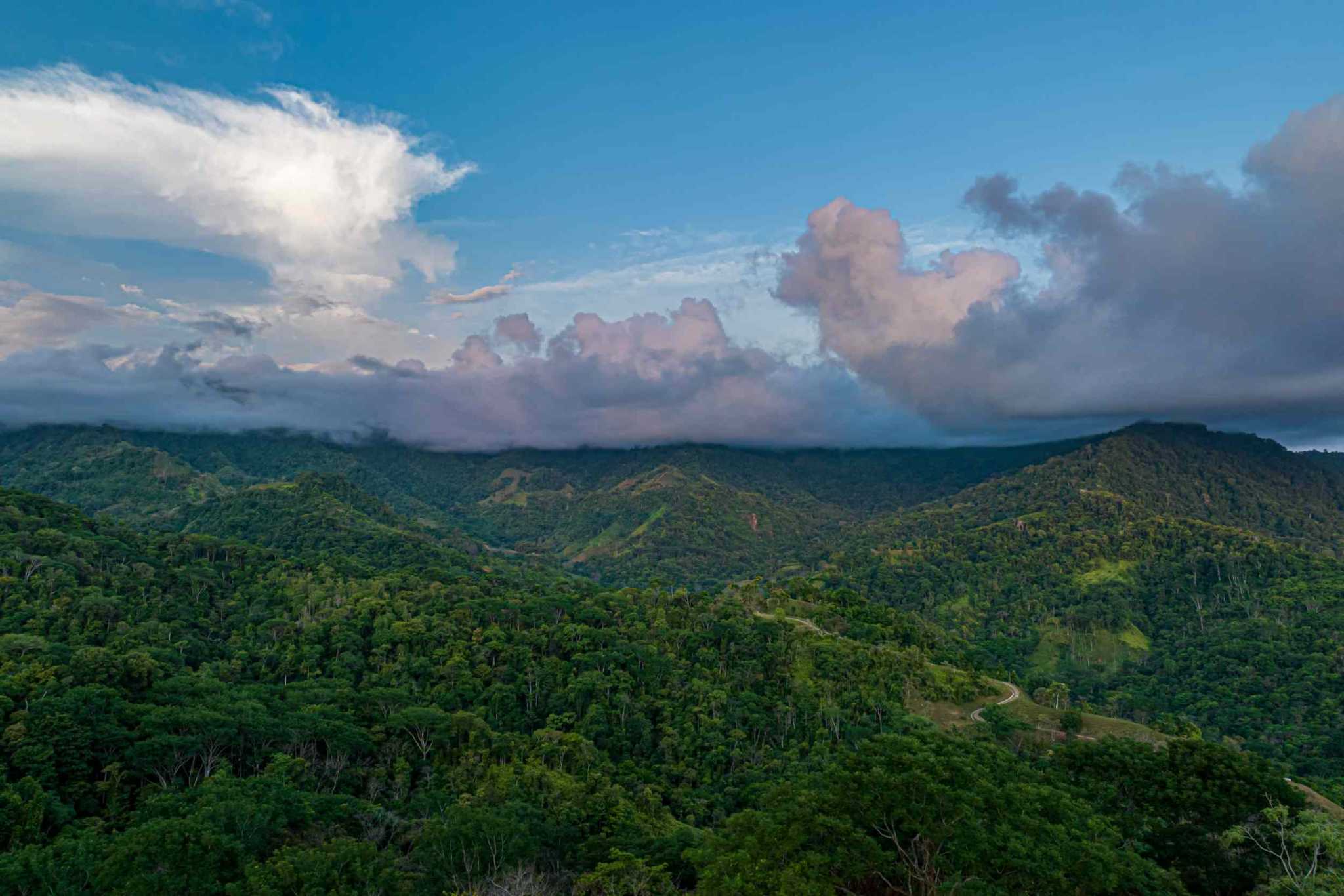 38561 (30) Modern 3-Bedroom Home with “Million Dollar” Whales Tail View but under $700k in Uvita Costa Rica