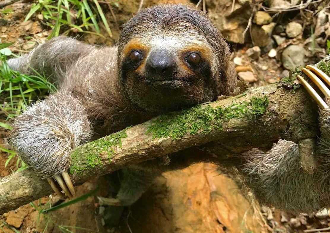 1112