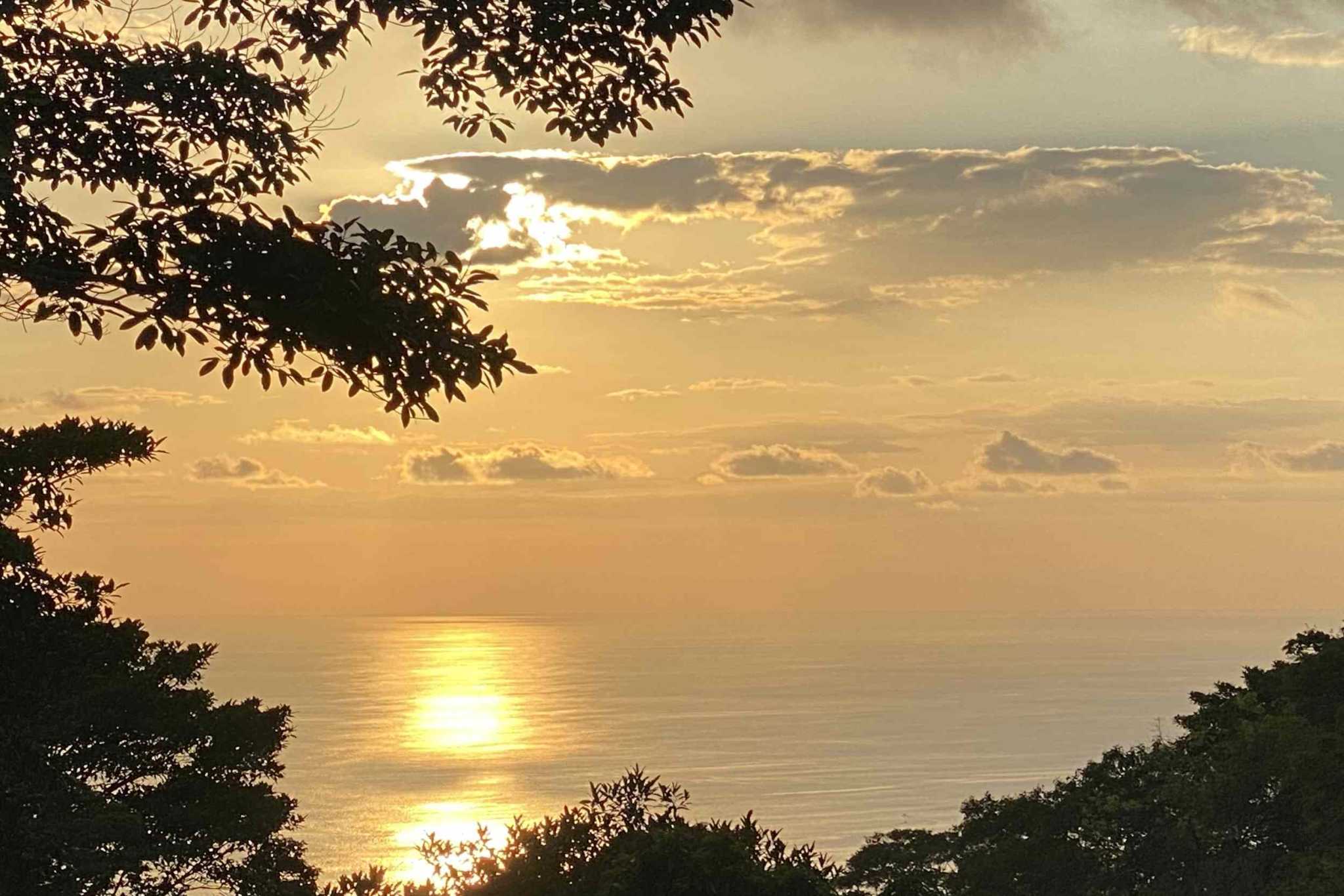 41105 (37) Estate Property in Prime Escaleras Area with Multi-Use Options, Perfect for Residential or Small Hotel in Escalares above Dominicalito Costa Rica