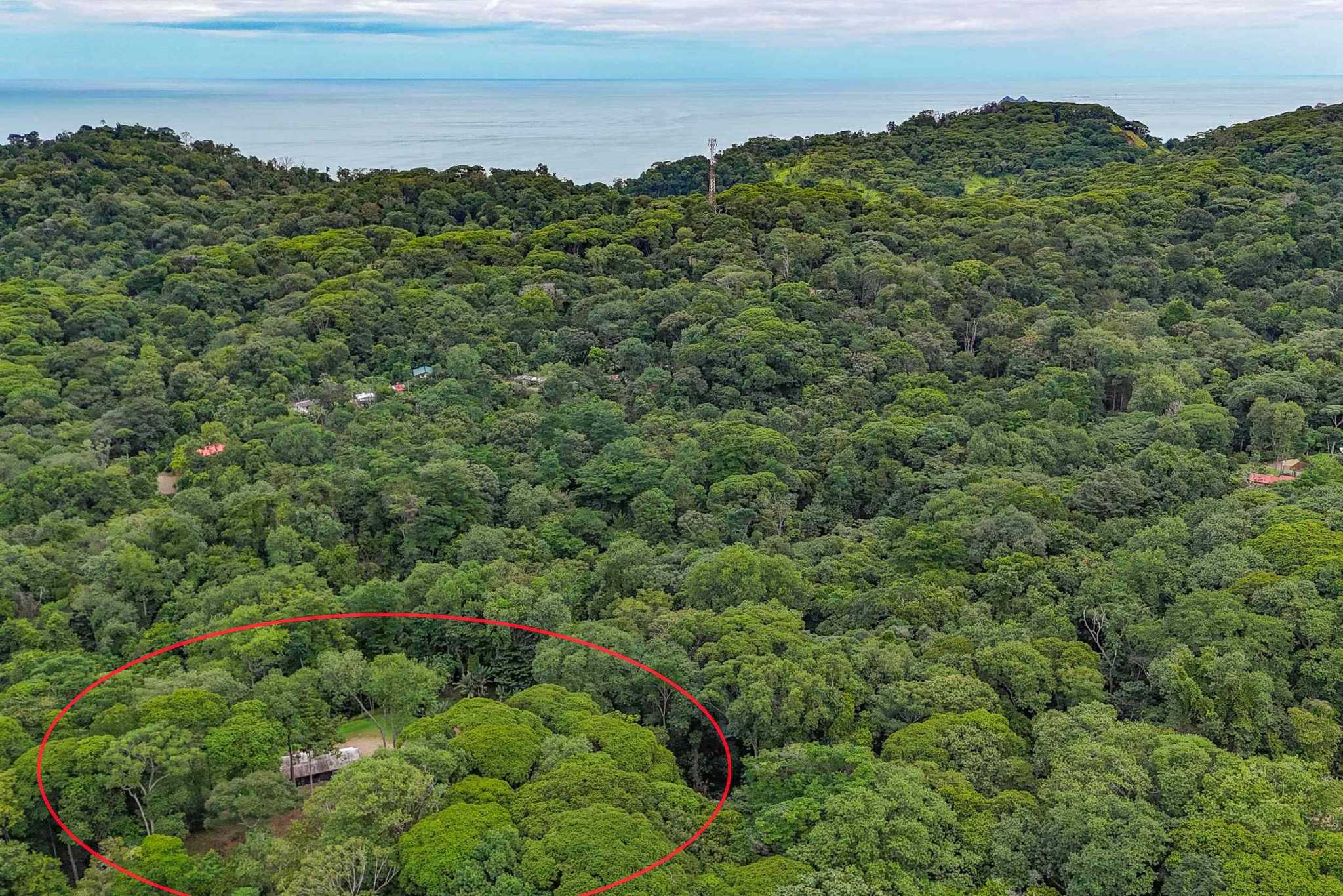 41167 (6) Large 2.1 Acre Jungle Property with a 1-Bed home & Numerous Additional Building Sites on Cinco Ventanas Road in Ojochal Costa Rica