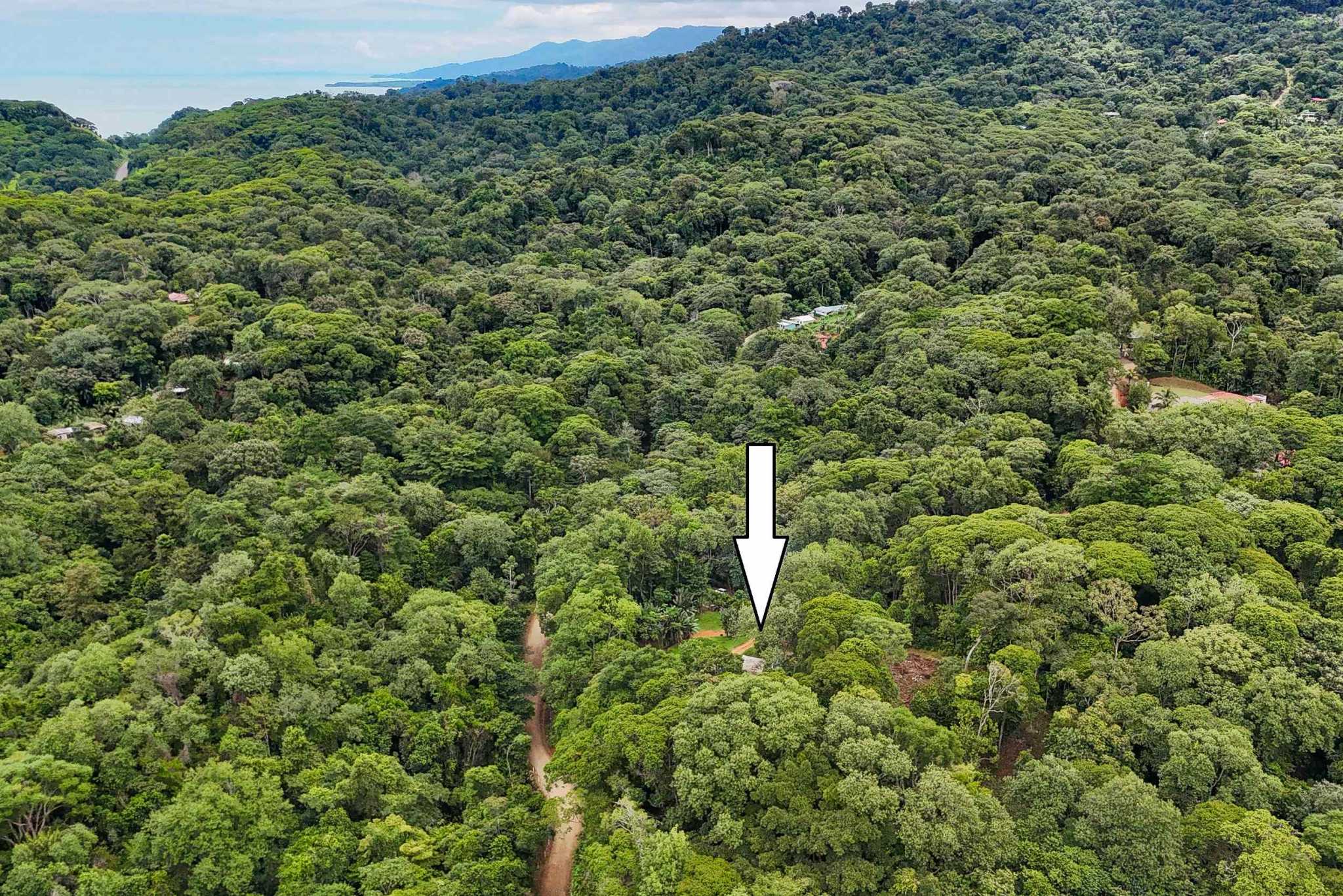 41167 (7) Large 2.1 Acre Jungle Property with a 1-Bed home & Numerous Additional Building Sites on Cinco Ventanas Road in Ojochal Costa Rica