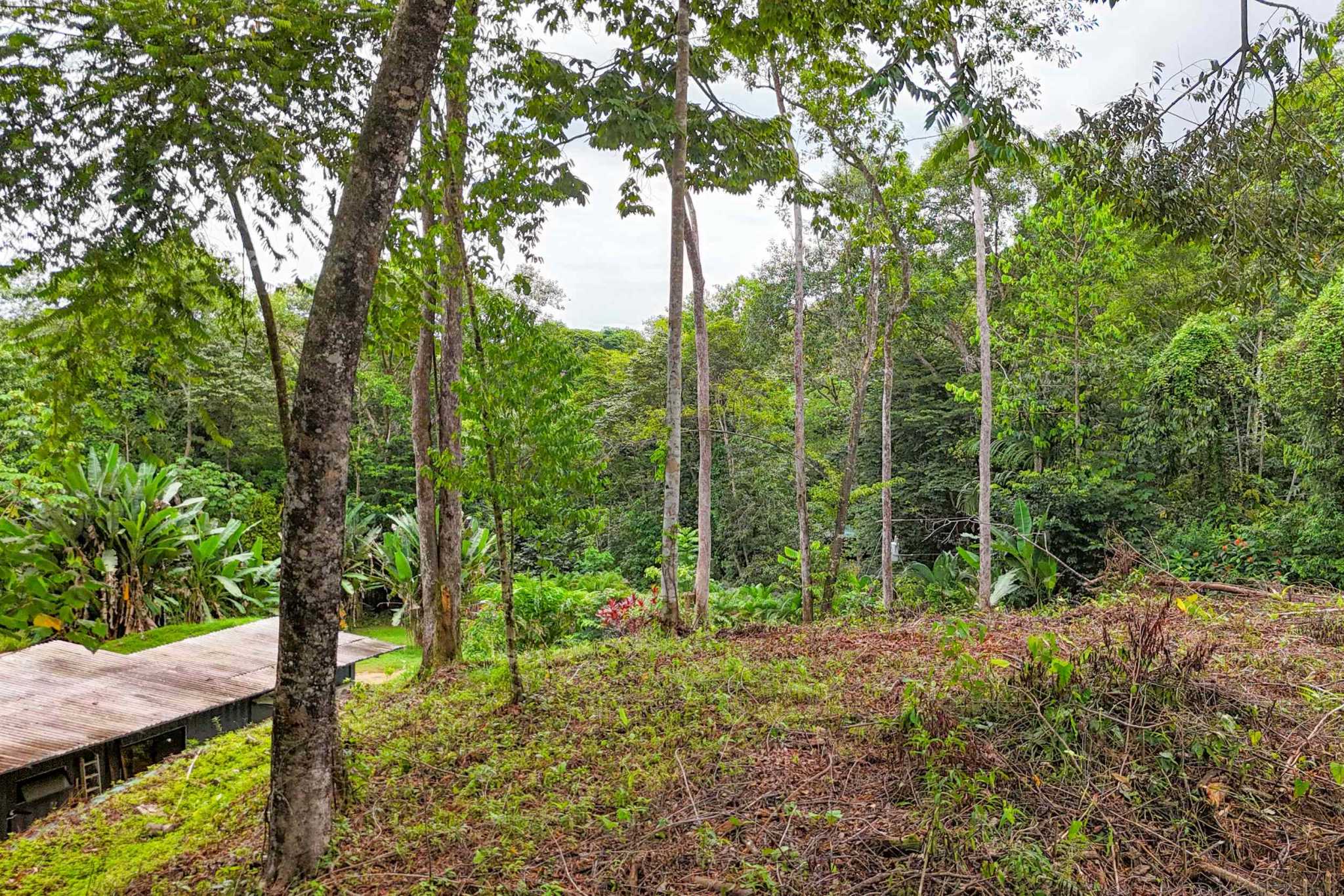 41167 (14) Large 2.1 Acre Jungle Property with a 1-Bed home & Numerous Additional Building Sites on Cinco Ventanas Road in Ojochal Costa Rica