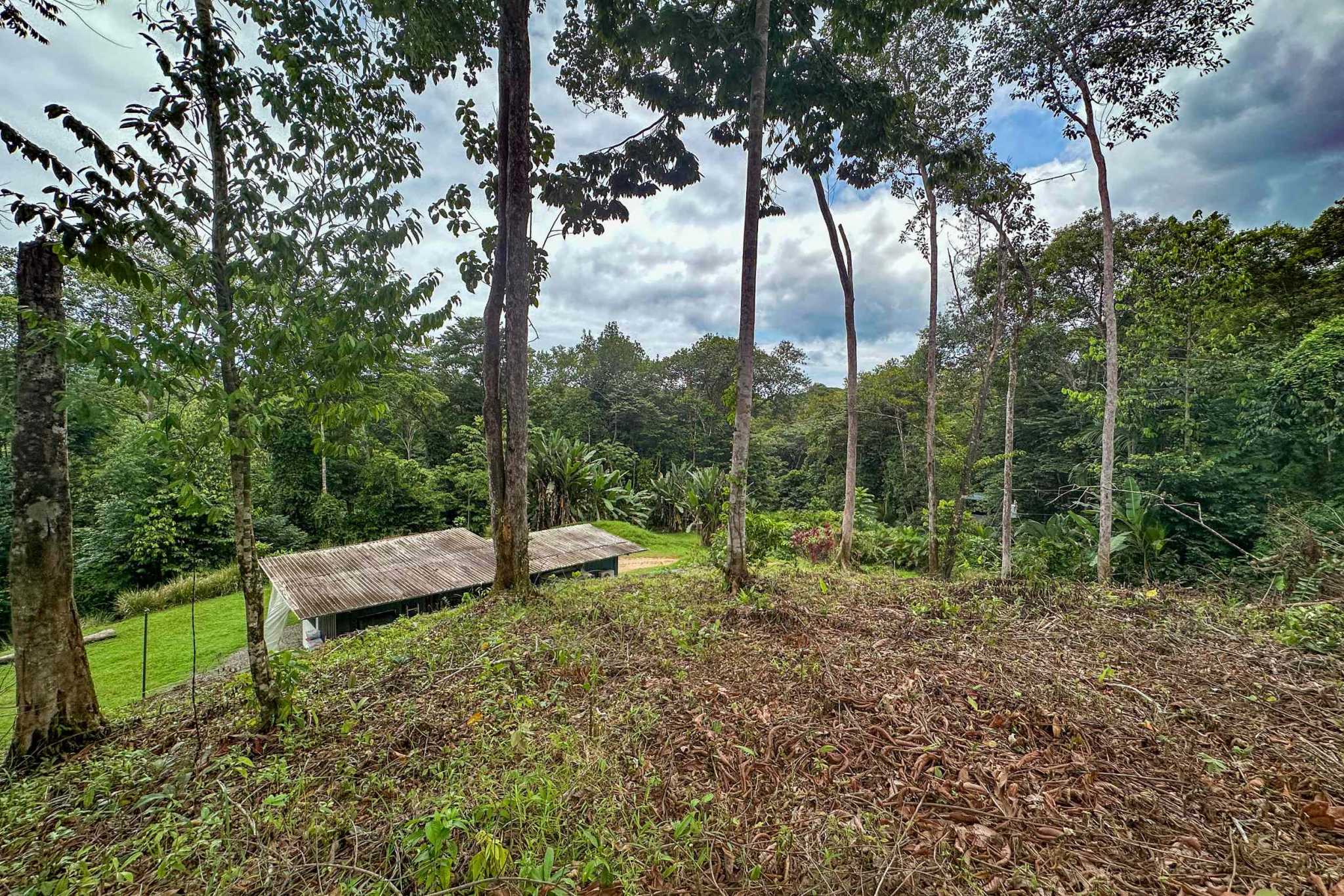 41167 (15) Large 2.1 Acre Jungle Property with a 1-Bed home & Numerous Additional Building Sites on Cinco Ventanas Road in Ojochal Costa Rica