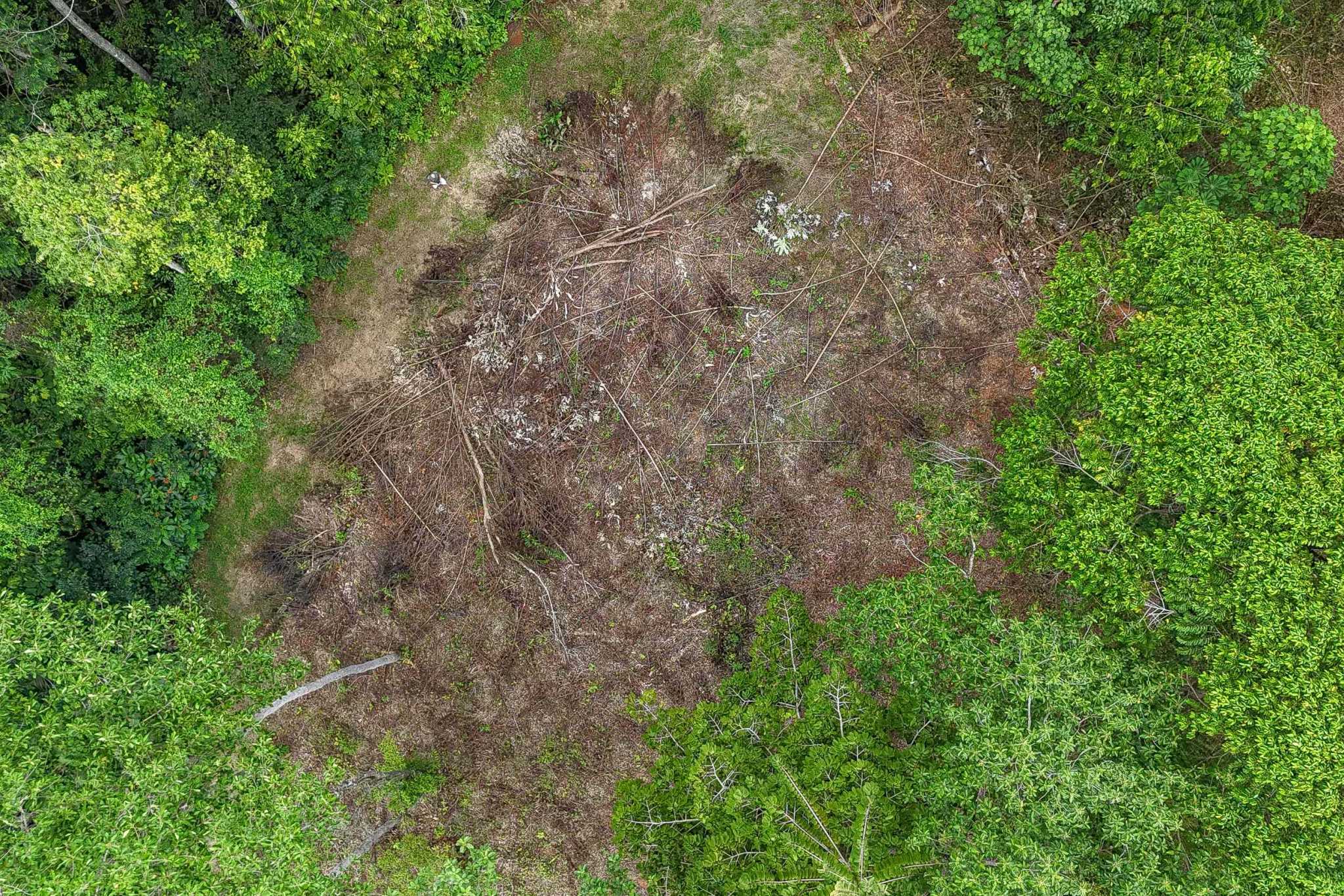 41167 (16) Large 2.1 Acre Jungle Property with a 1-Bed home & Numerous Additional Building Sites on Cinco Ventanas Road in Ojochal Costa Rica