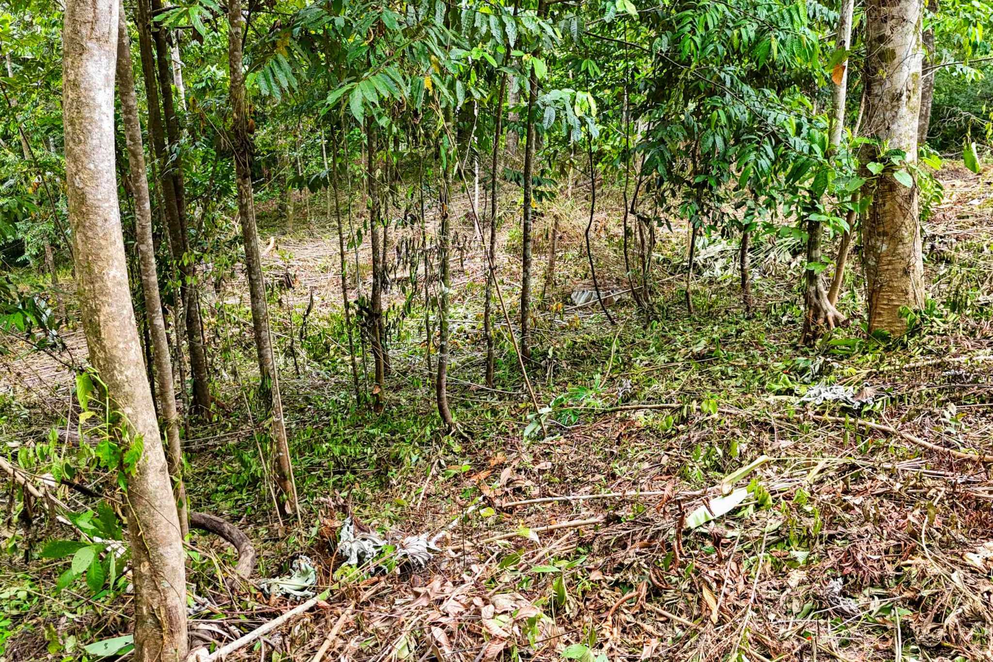 41167 (17) Large 2.1 Acre Jungle Property with a 1-Bed home & Numerous Additional Building Sites on Cinco Ventanas Road in Ojochal Costa Rica