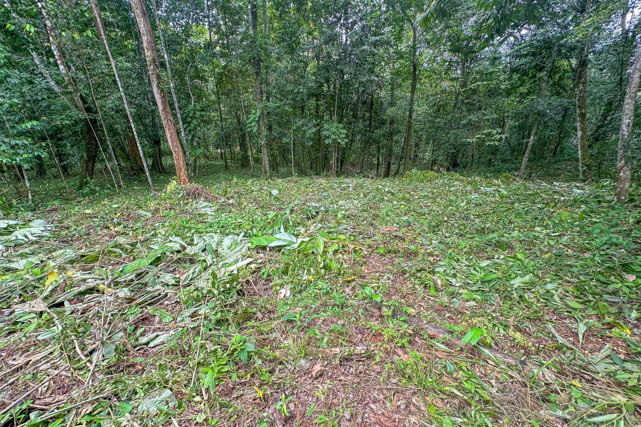 41167 (21) Large 2.1 Acre Jungle Property with a 1-Bed home & Numerous Additional Building Sites on Cinco Ventanas Road in Ojochal Costa Rica