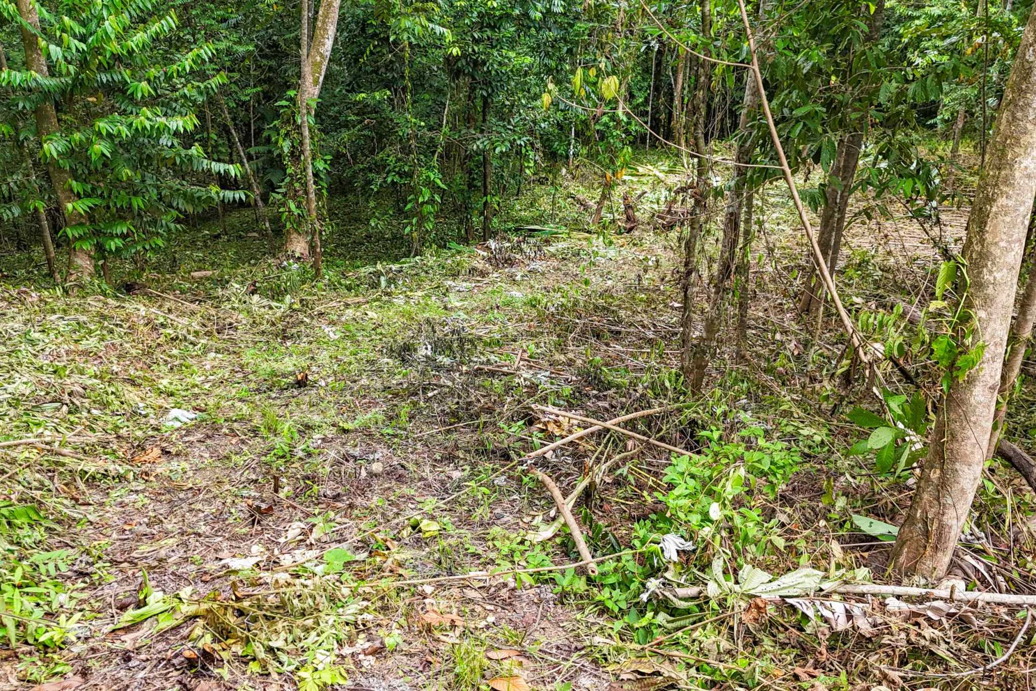 41167 (28) Large 2.1 Acre Jungle Property with a 1-Bed home & Numerous Additional Building Sites on Cinco Ventanas Road in Ojochal Costa Rica