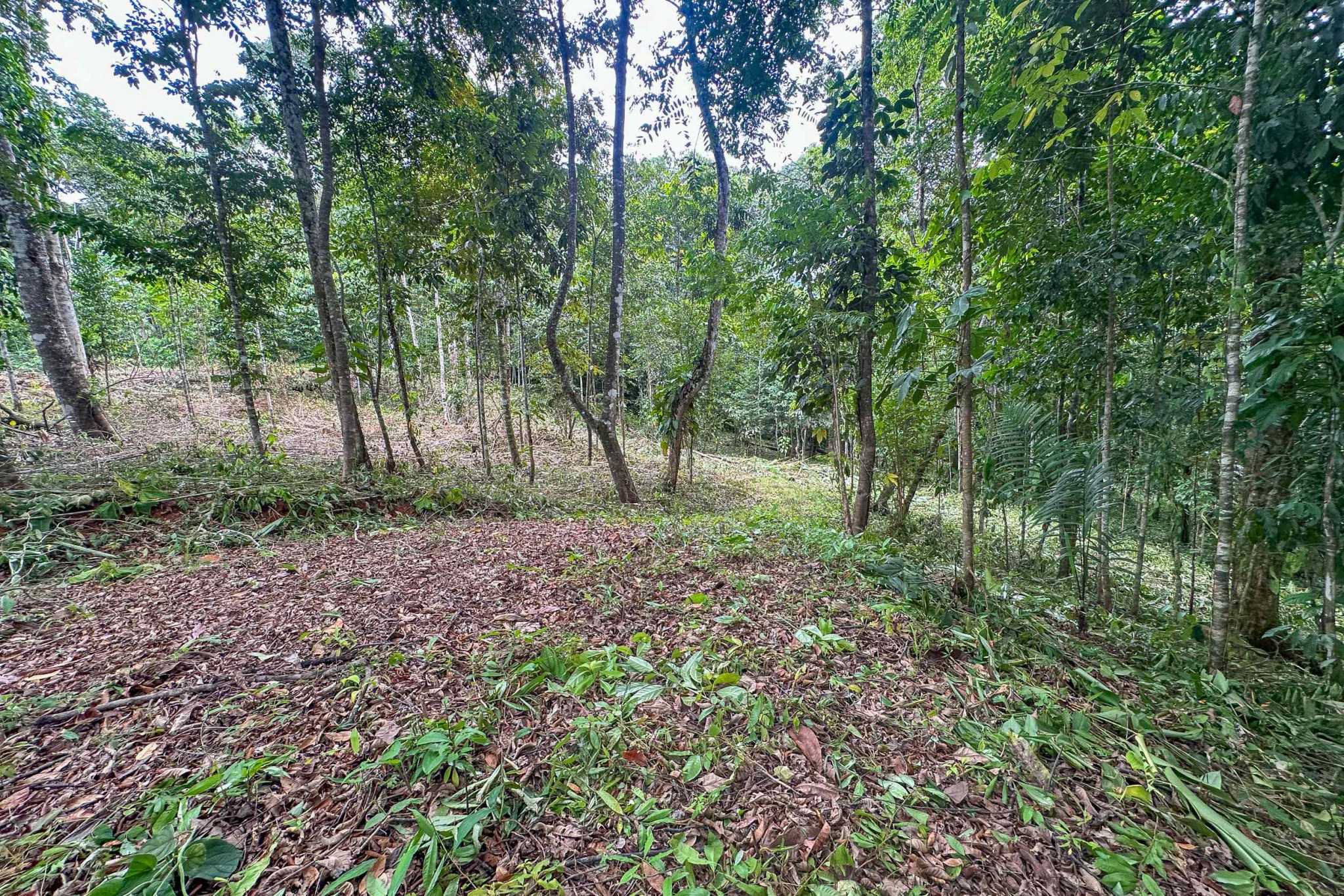 41167 (1) Large 2.1 Acre Jungle Property with a 1-Bed home & Numerous Additional Building Sites on Cinco Ventanas Road in Ojochal Costa Rica