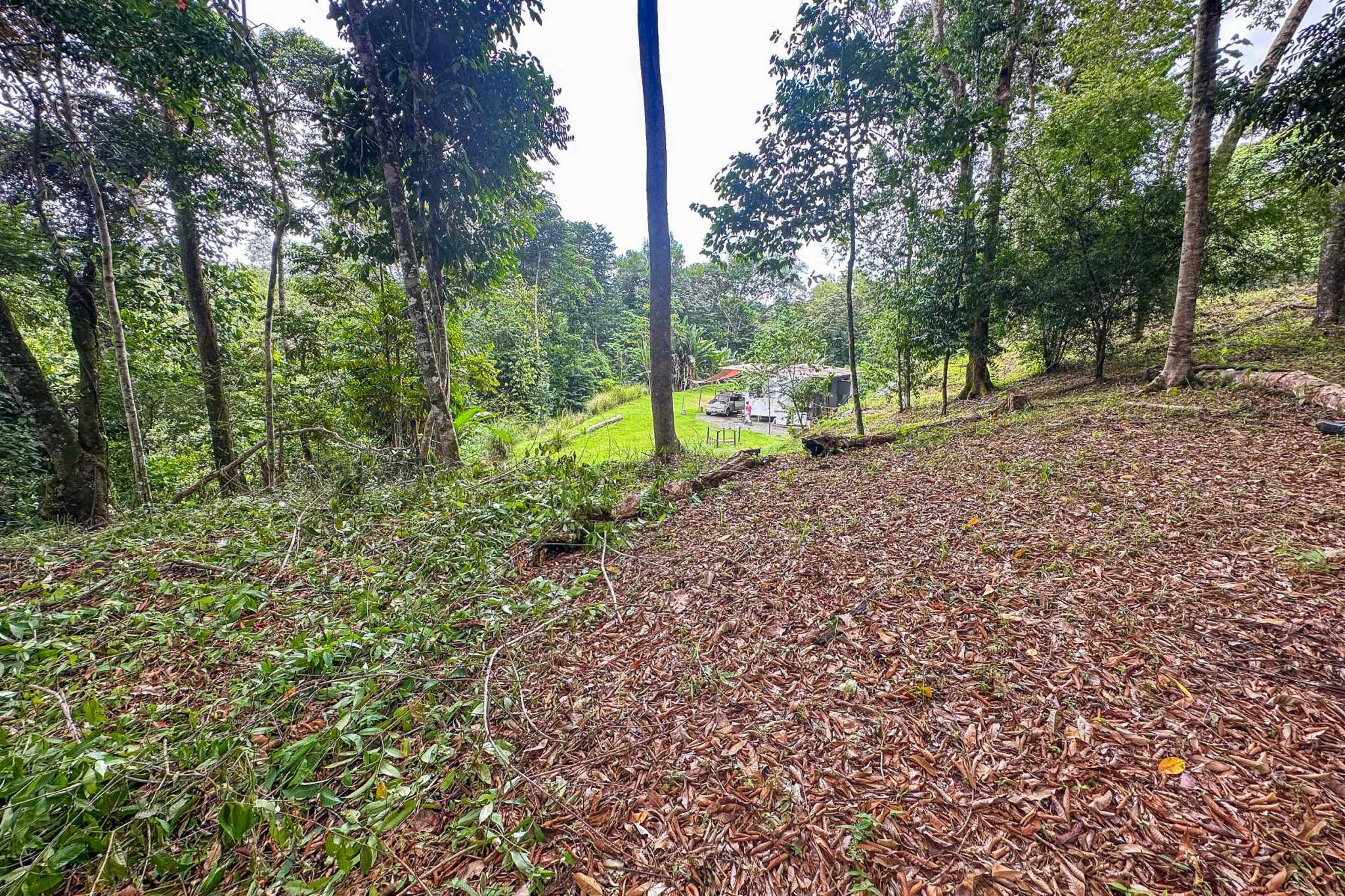 41167 (31) Large 2.1 Acre Jungle Property with a 1-Bed home & Numerous Additional Building Sites on Cinco Ventanas Road in Ojochal Costa Rica