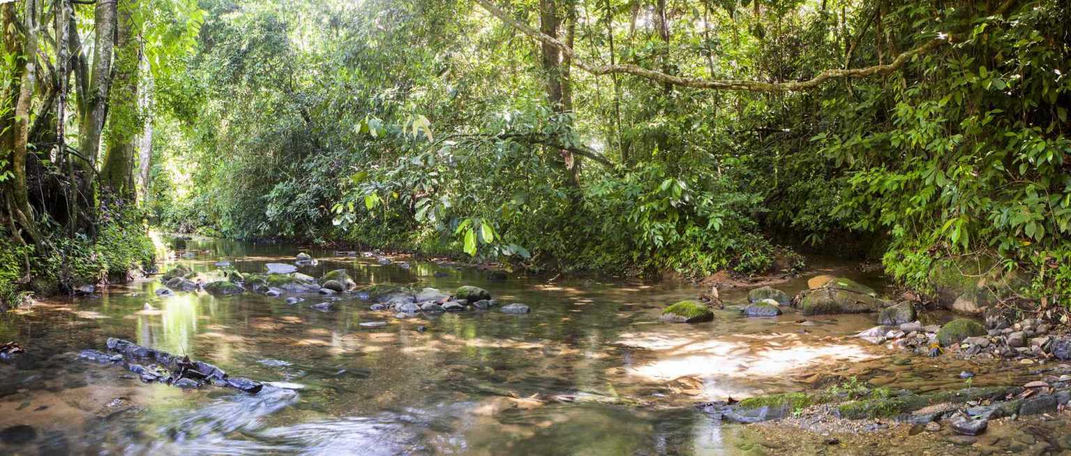 41334 (9) Profitable Riverfront Resort with 4 Bungalows & Owner/Manager Accommodation in Ojochal Costa Rica