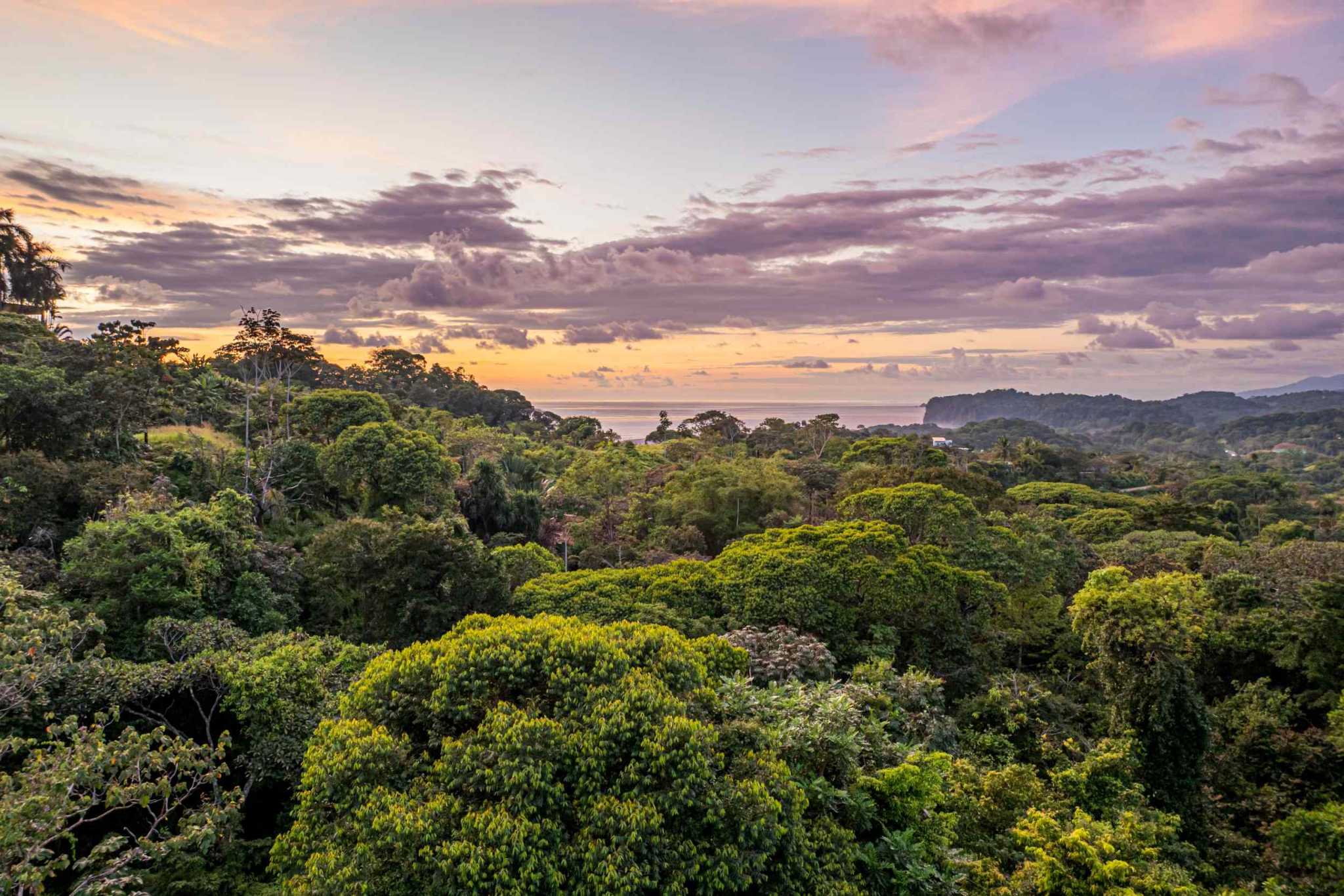 Stunning Mountain & Ocean Views in a 3-Bedroom Luxury Home on Calle Perezoso in Ojochal Costa Rica