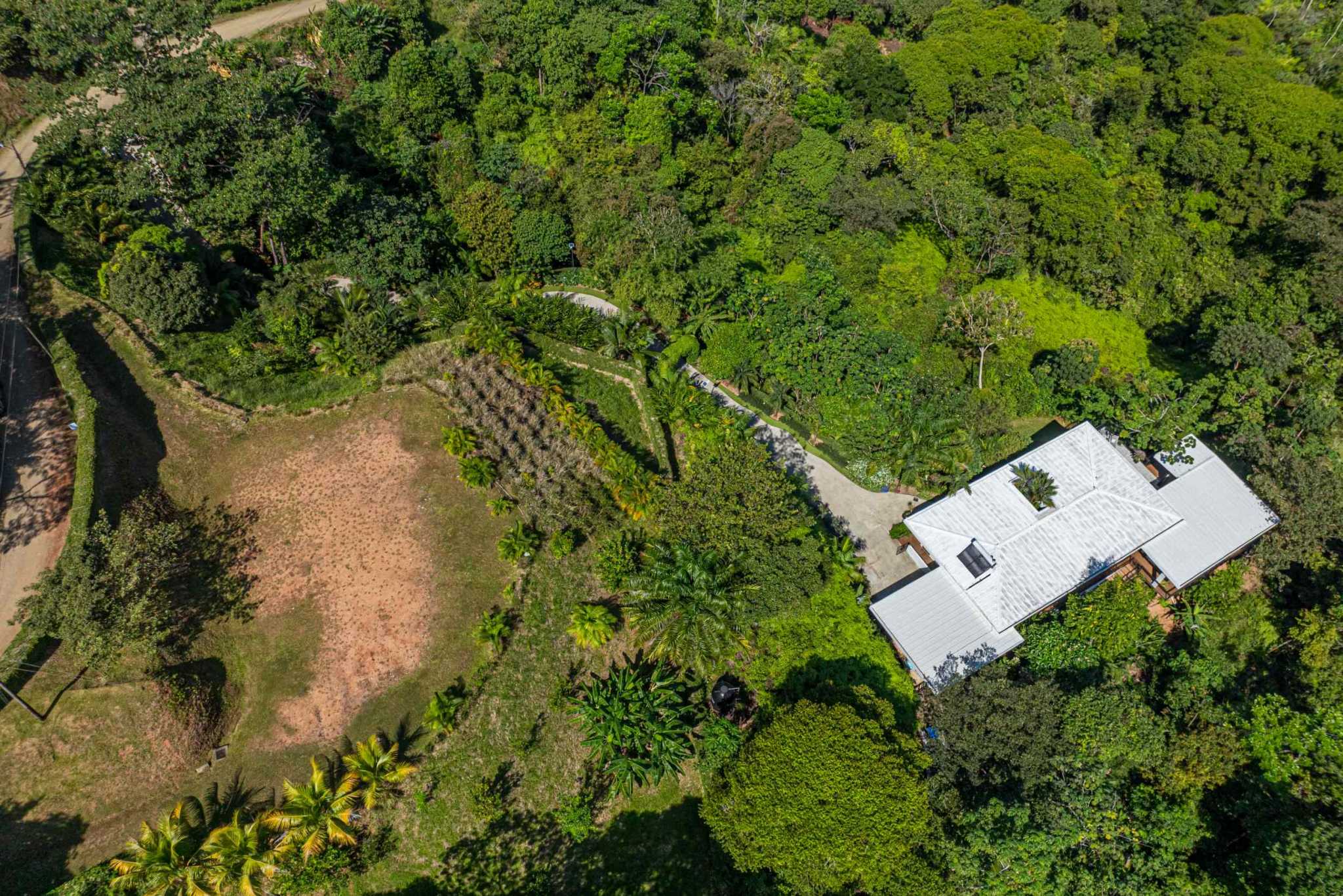 Stunning Mountain & Ocean Views in a 3-Bedroom Luxury Home on Calle Perezoso in Ojochal Costa Rica