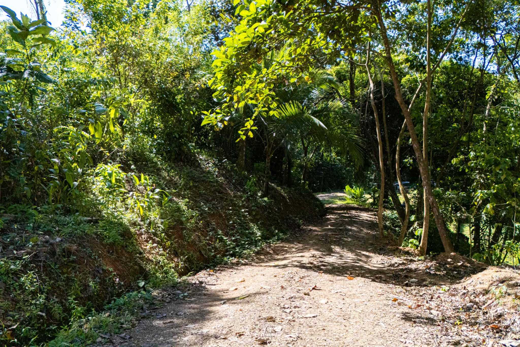 Nice 2-Bedroom Home with 1.8 Acre Lot with Room to Expand in Prestigious Las Brisa Community in Uvita Costa Rica