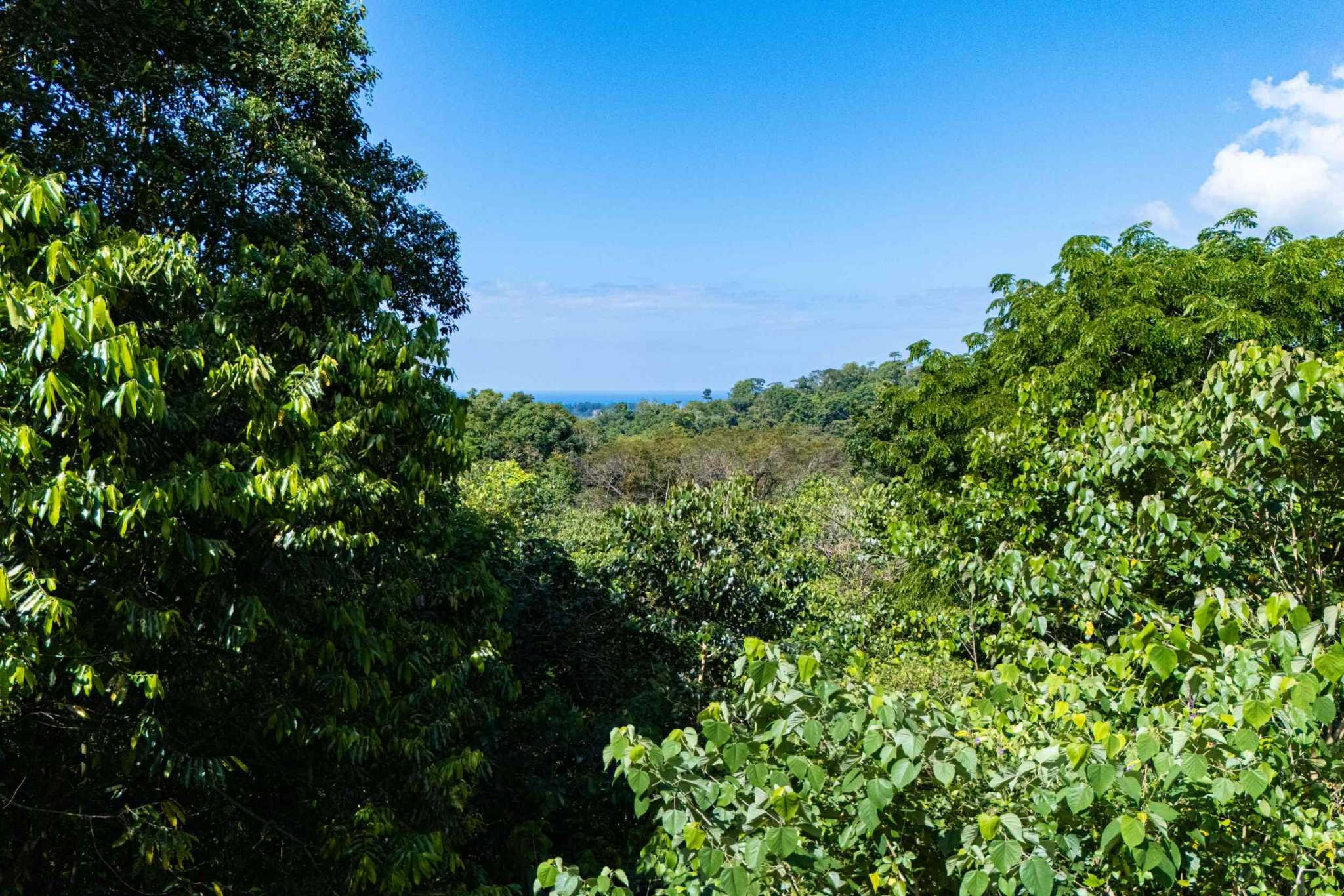 Nice 2-Bedroom Home with 1.8 Acre Lot with Room to Expand in Prestigious Las Brisa Community in Uvita Costa Rica