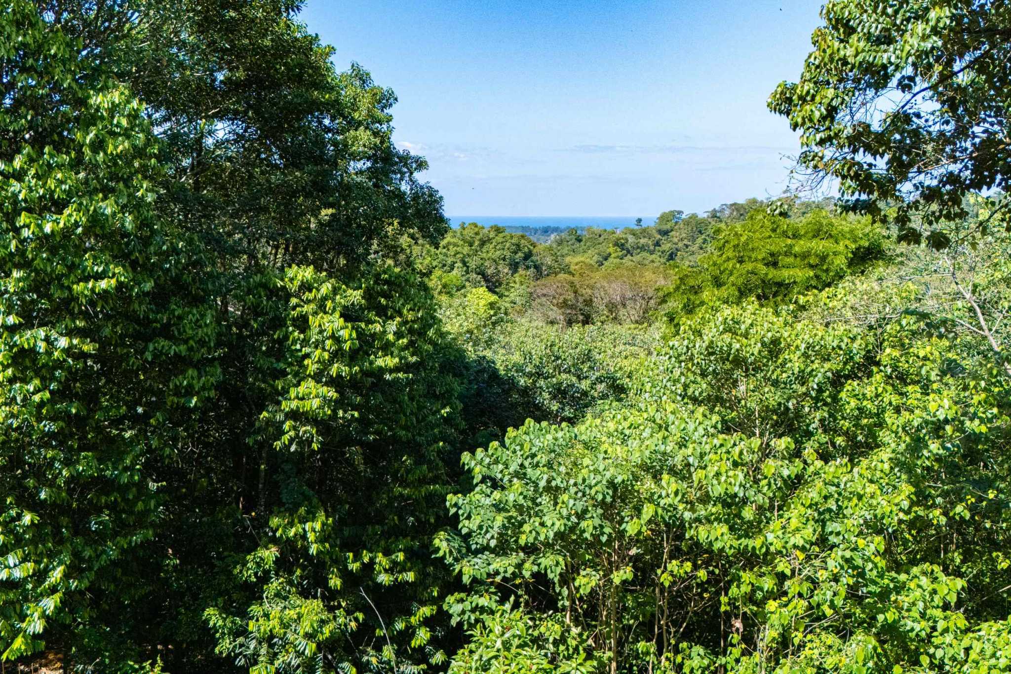 Nice 2-Bedroom Home with 1.8 Acre Lot with Room to Expand in Prestigious Las Brisa Community in Uvita Costa Rica